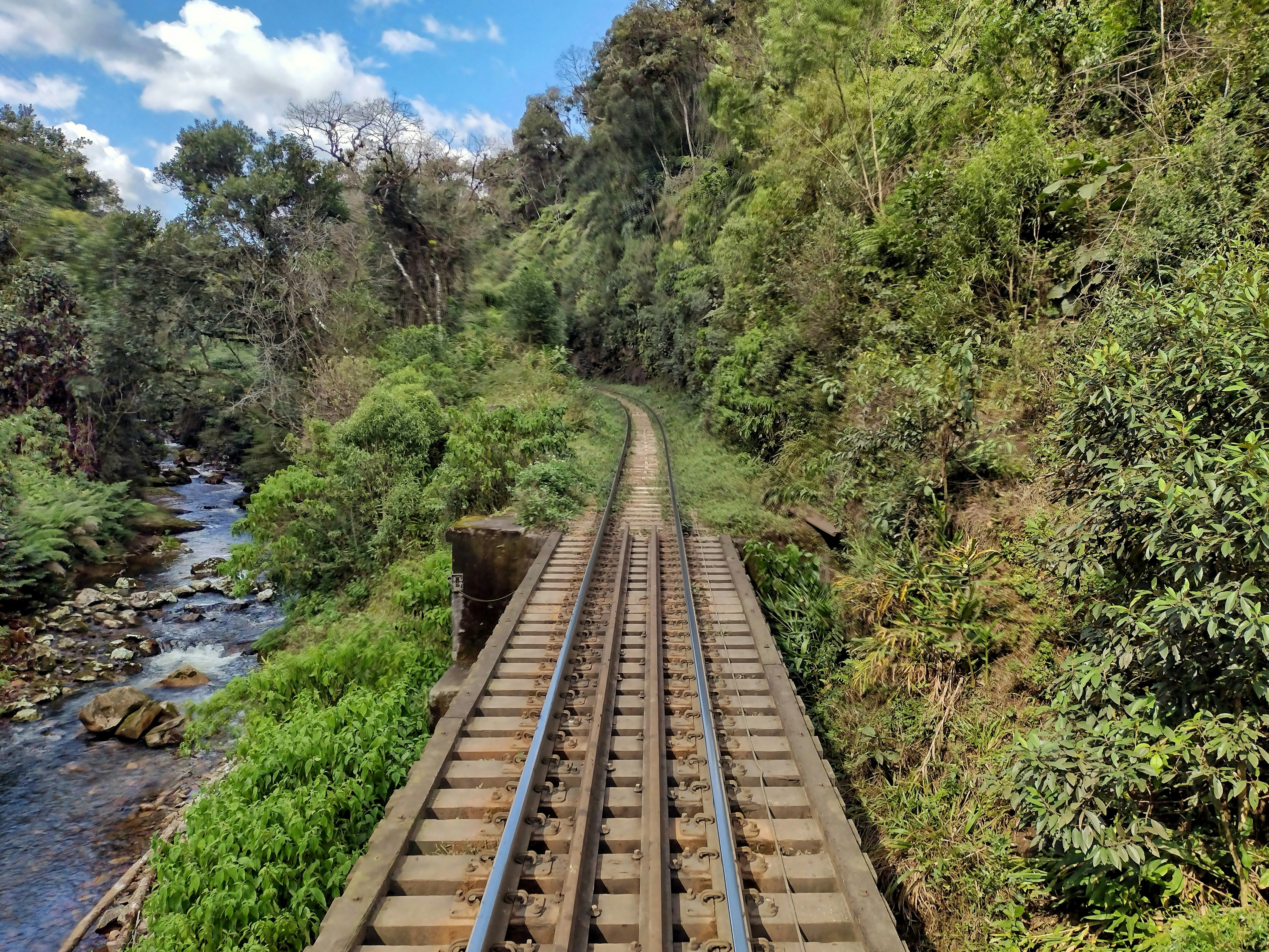a train track running through a lush green forest, Train ride between Curitiba and Morretes, Paraná, Brazil.