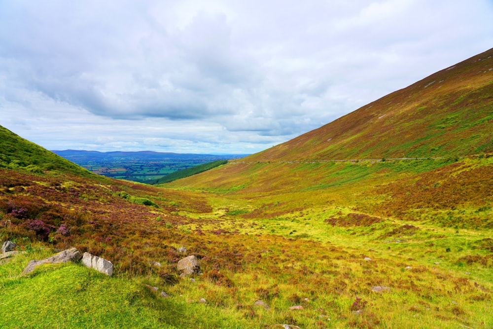 a grassy valley with mountains in the background