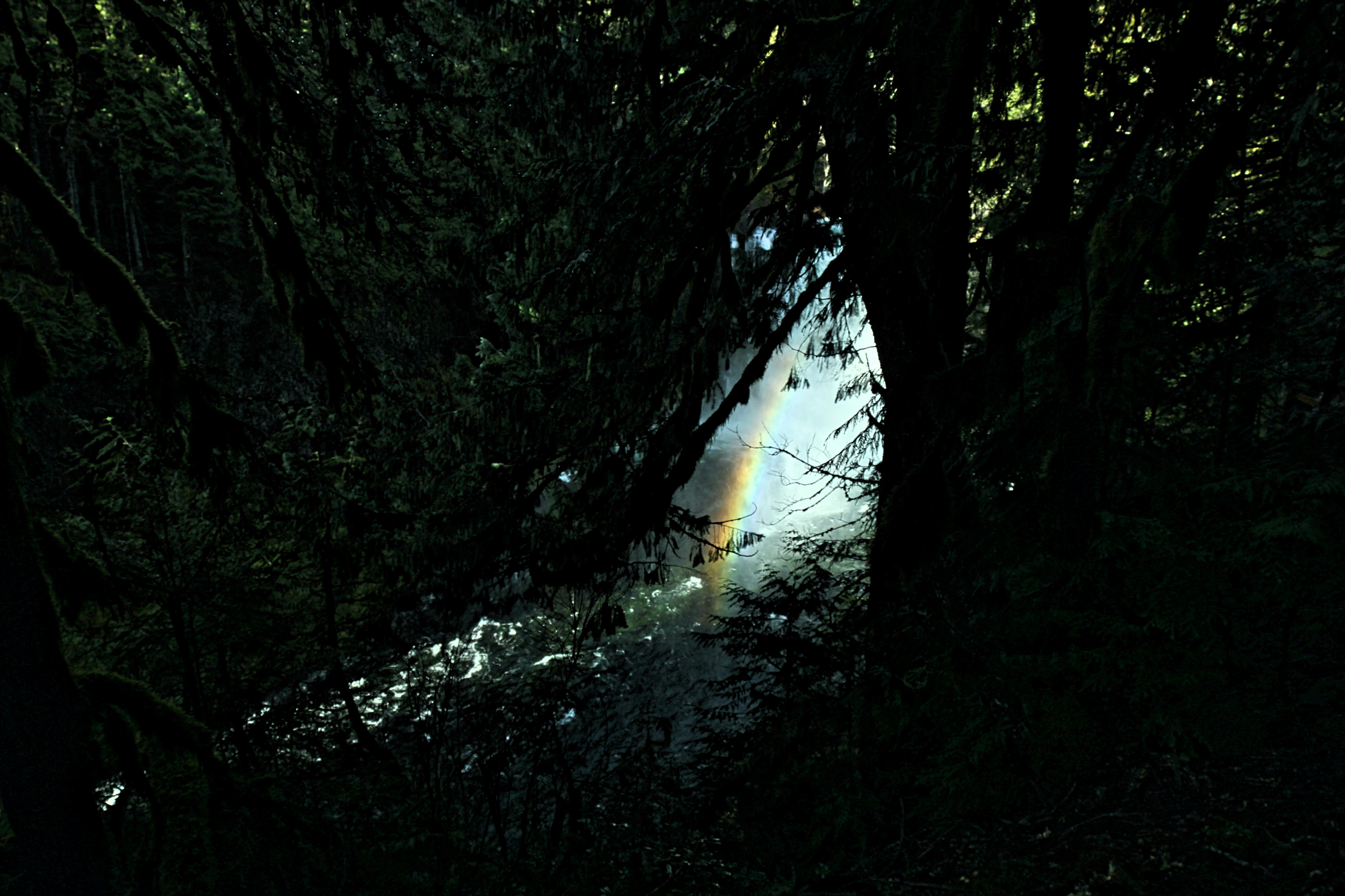 Photo by margauxmforsythe