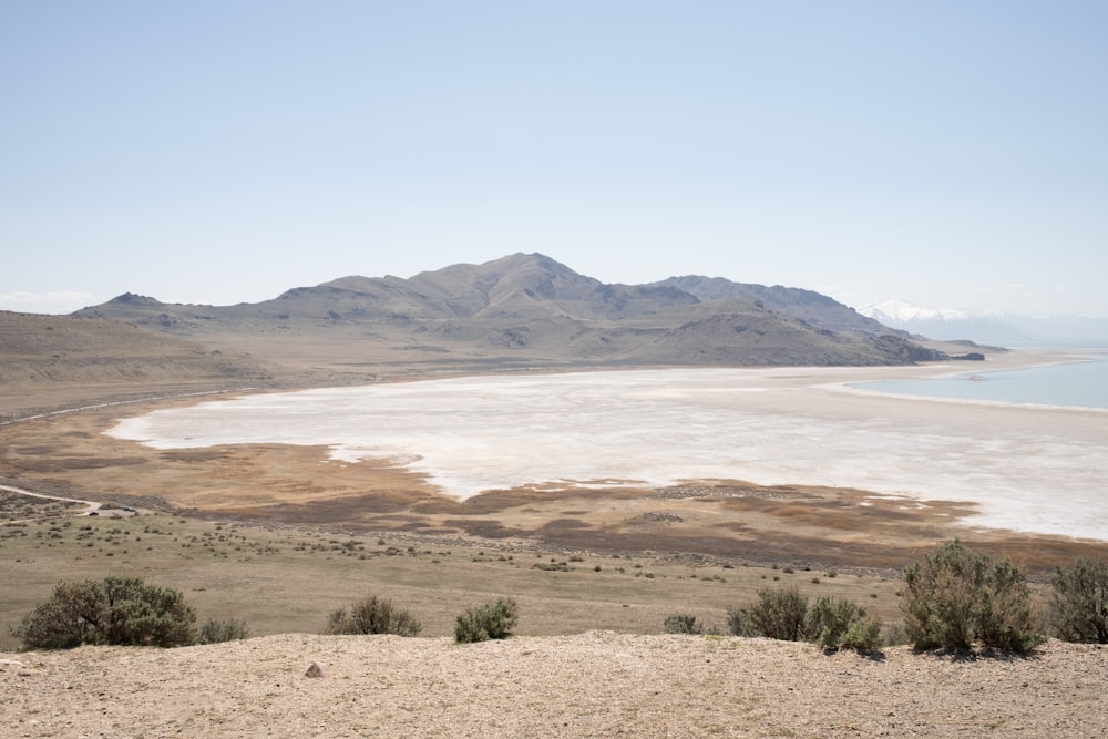 brown sand near body of water during daytime