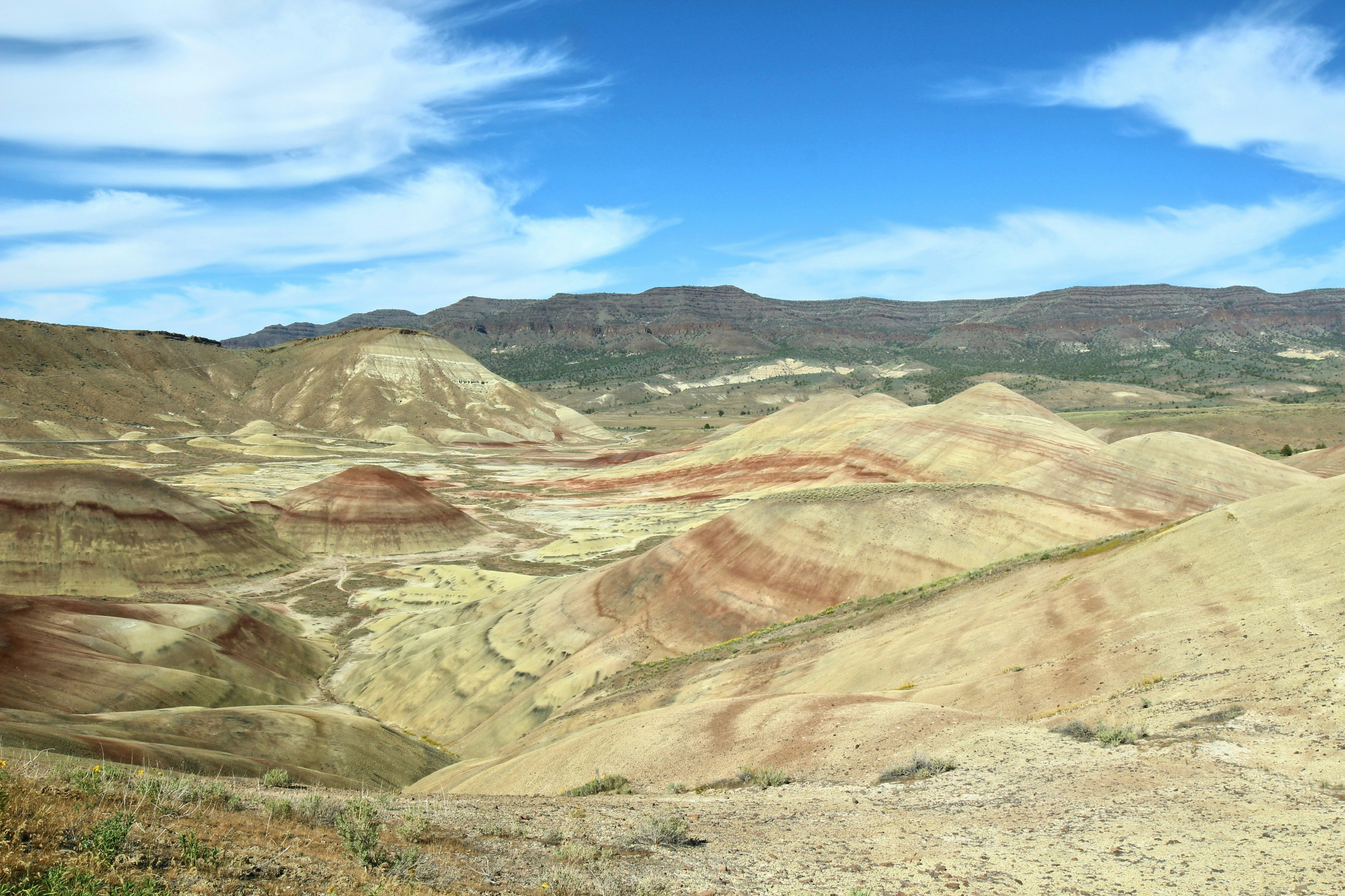 Photo by margauxmforsythe