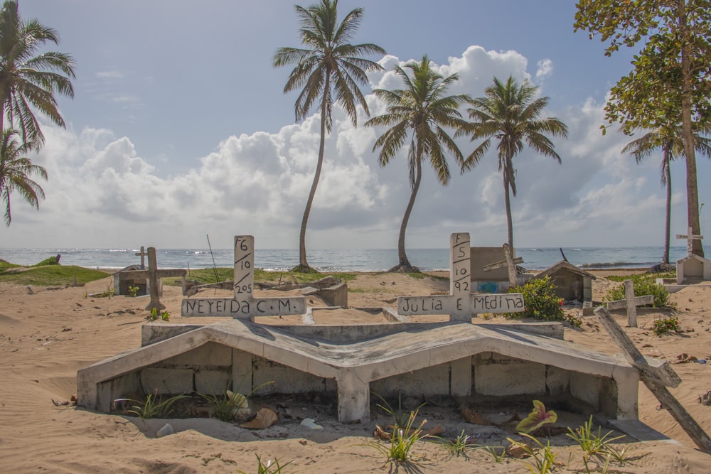 a sandy beach with palm trees and a sign