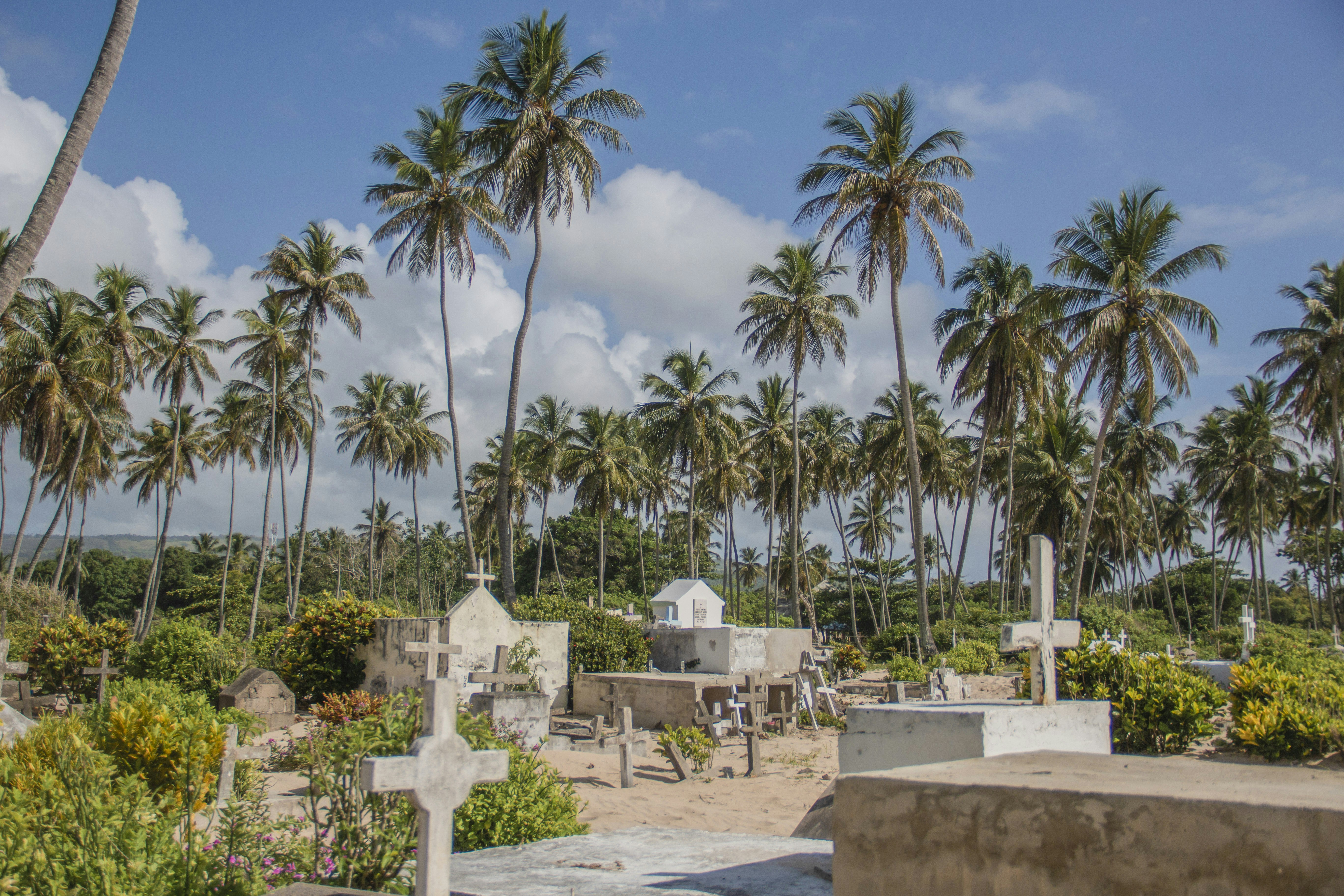 Photo by aldwardcv31