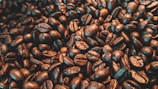 A close-up view of numerous roasted coffee beans, varying in shades from deep brown to a lighter, oily sheen. The texture appears rich and inviting, capturing the essence of freshly roasted coffee.