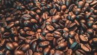 A close-up view of numerous roasted coffee beans, varying in shades from deep brown to a lighter, oily sheen. The texture appears rich and inviting, capturing the essence of freshly roasted coffee.