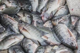 a bunch of fish that are on a table