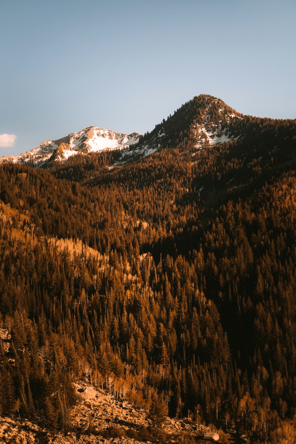 a view of a mountain range with trees in the foreground