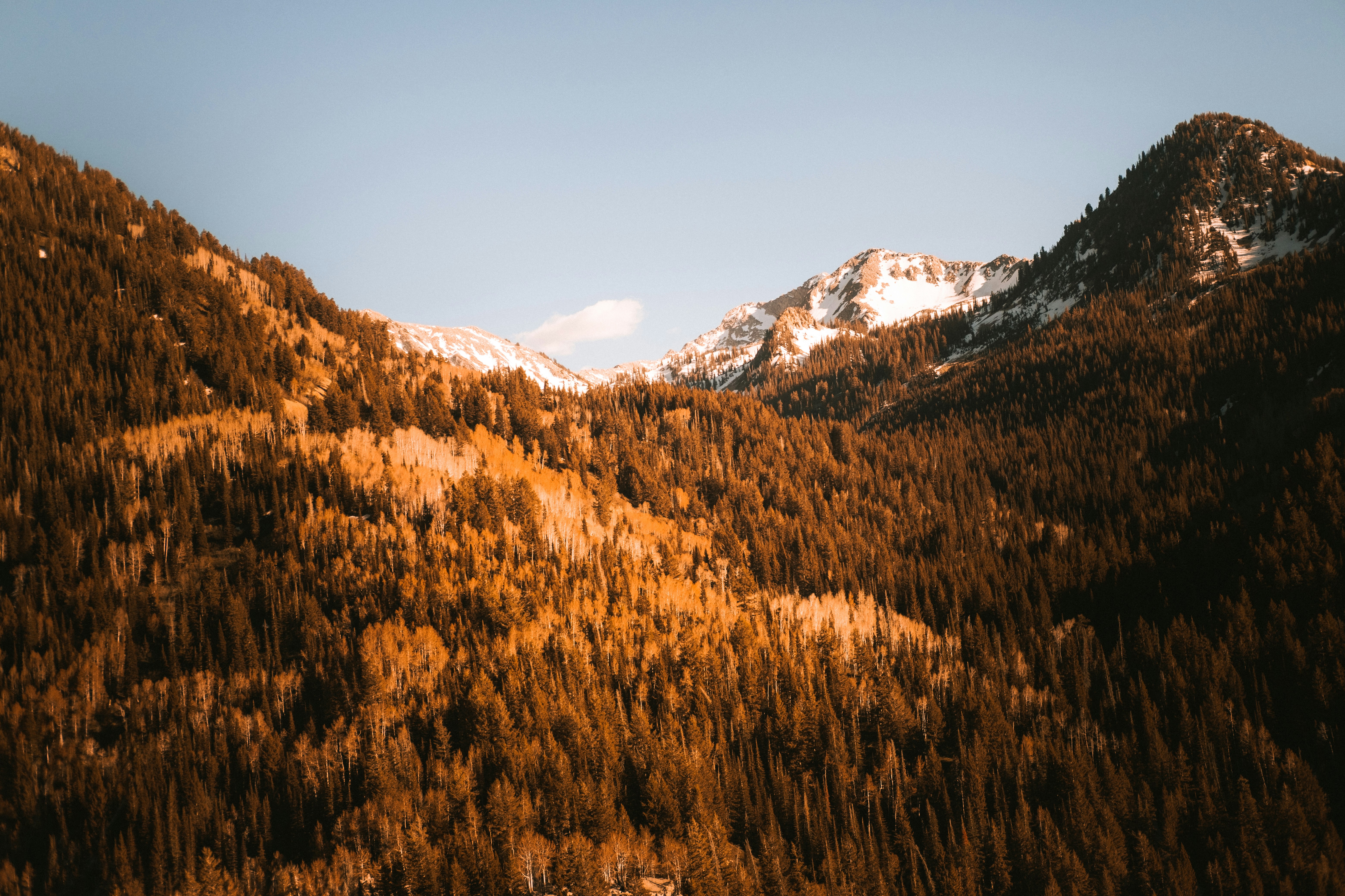 Photo by northernstatemedia