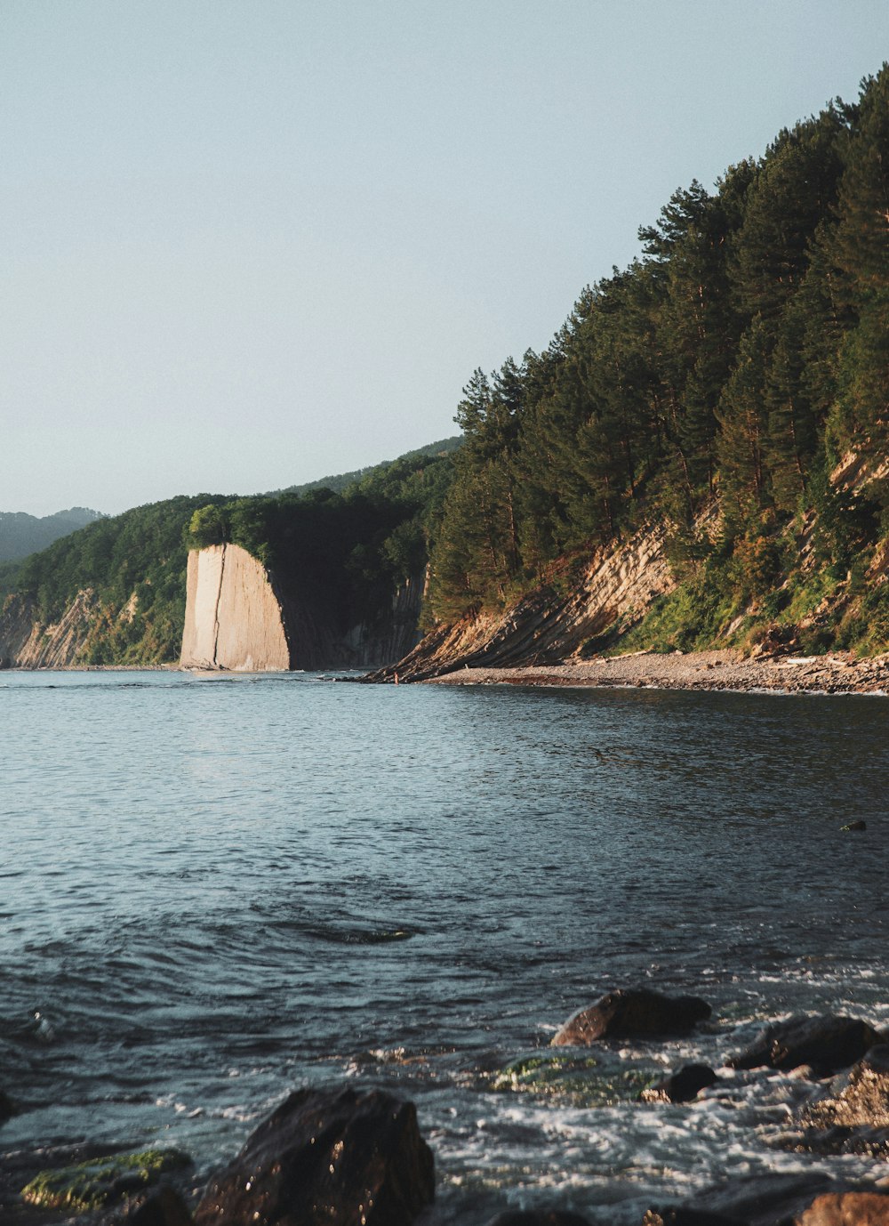 a large body of water surrounded by trees