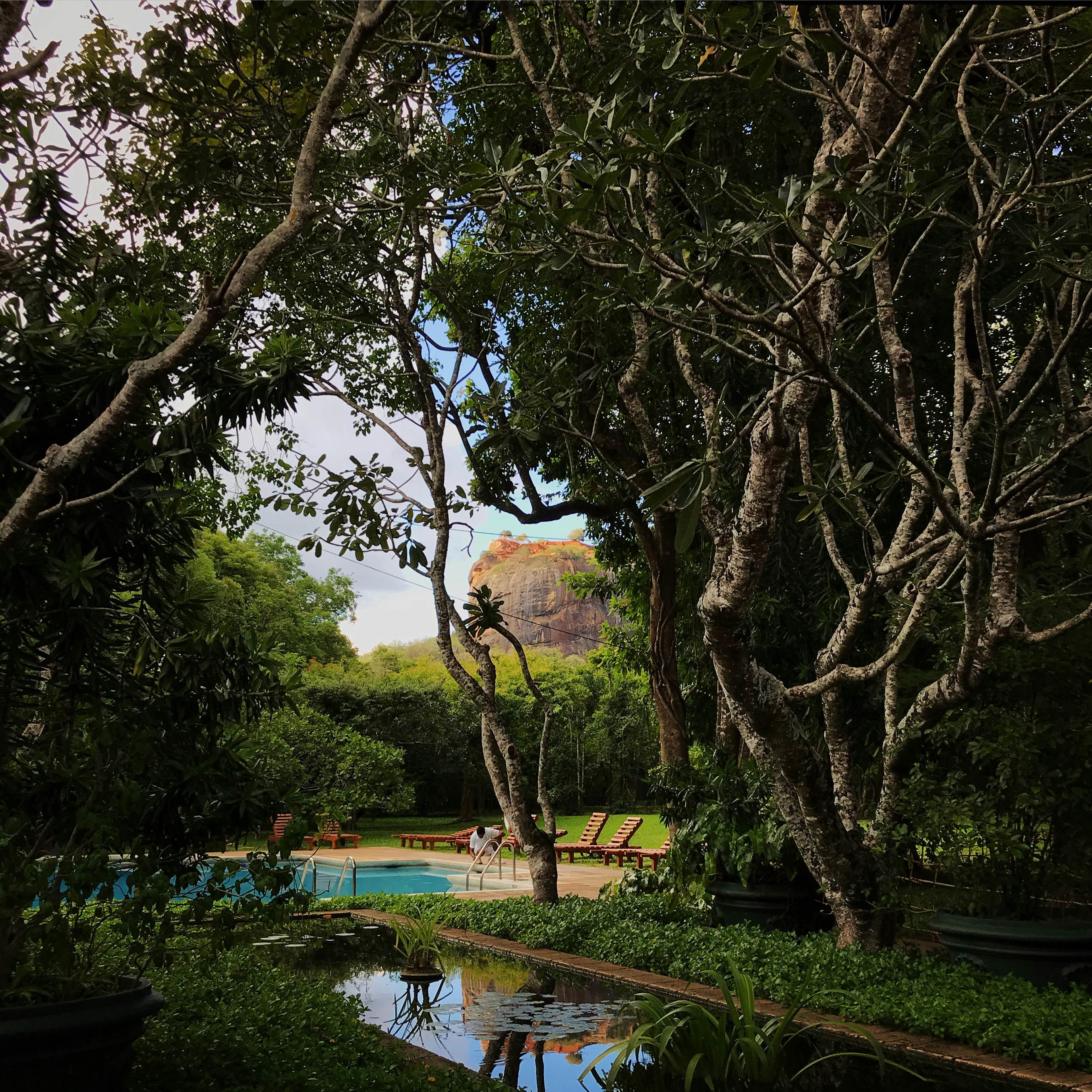 Photo by greenethirteen