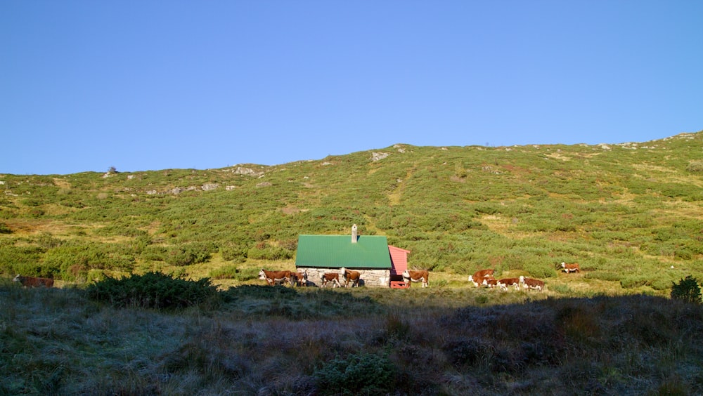 a small house in the middle of a field