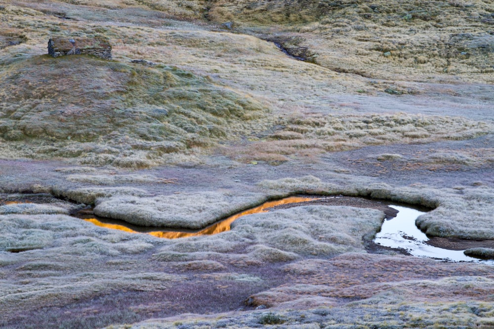 a stream of water running through a grass covered field