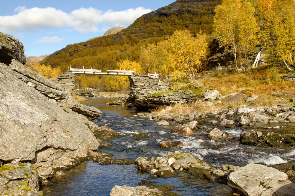 a small bridge over a small stream in the mountains