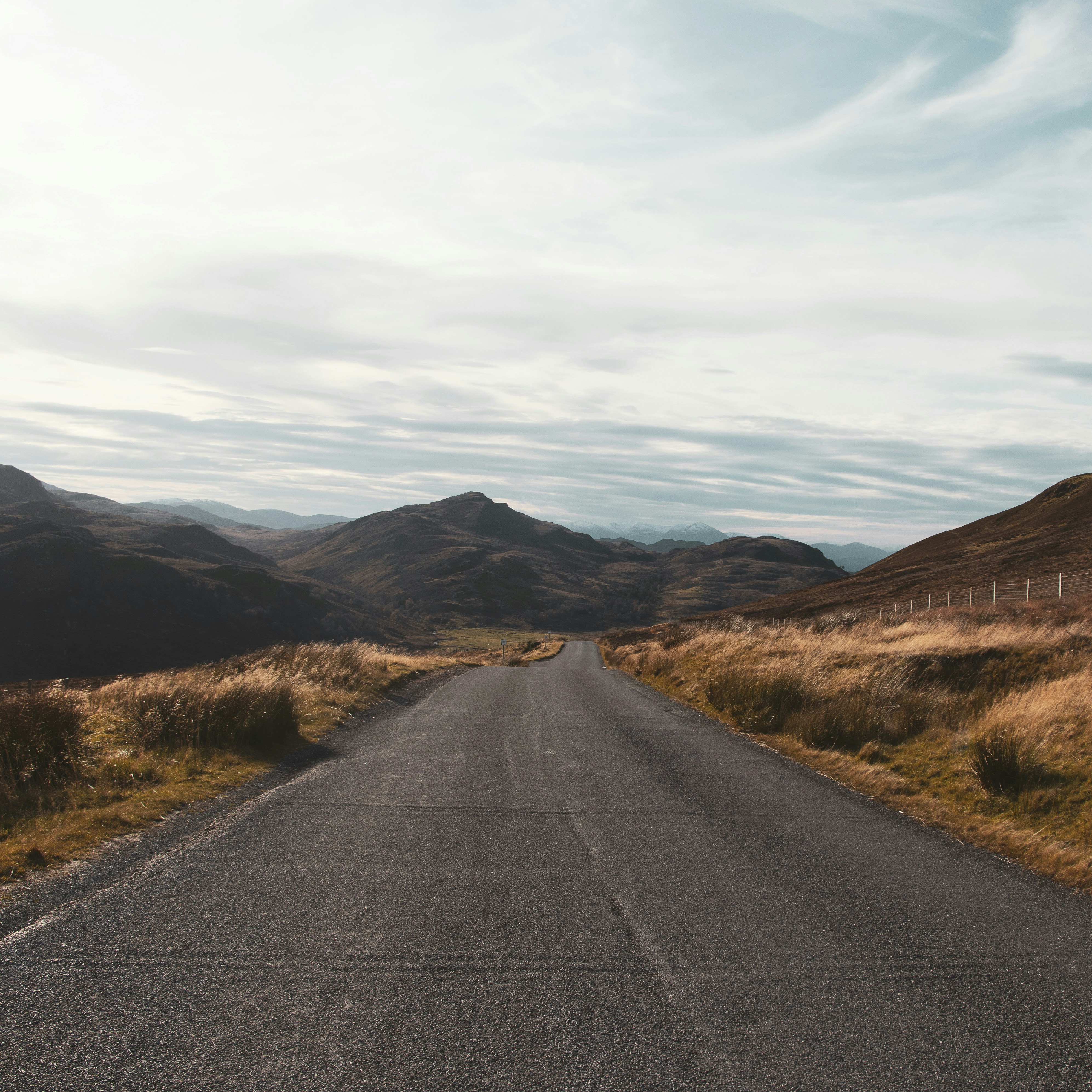 Photo by archie_reed