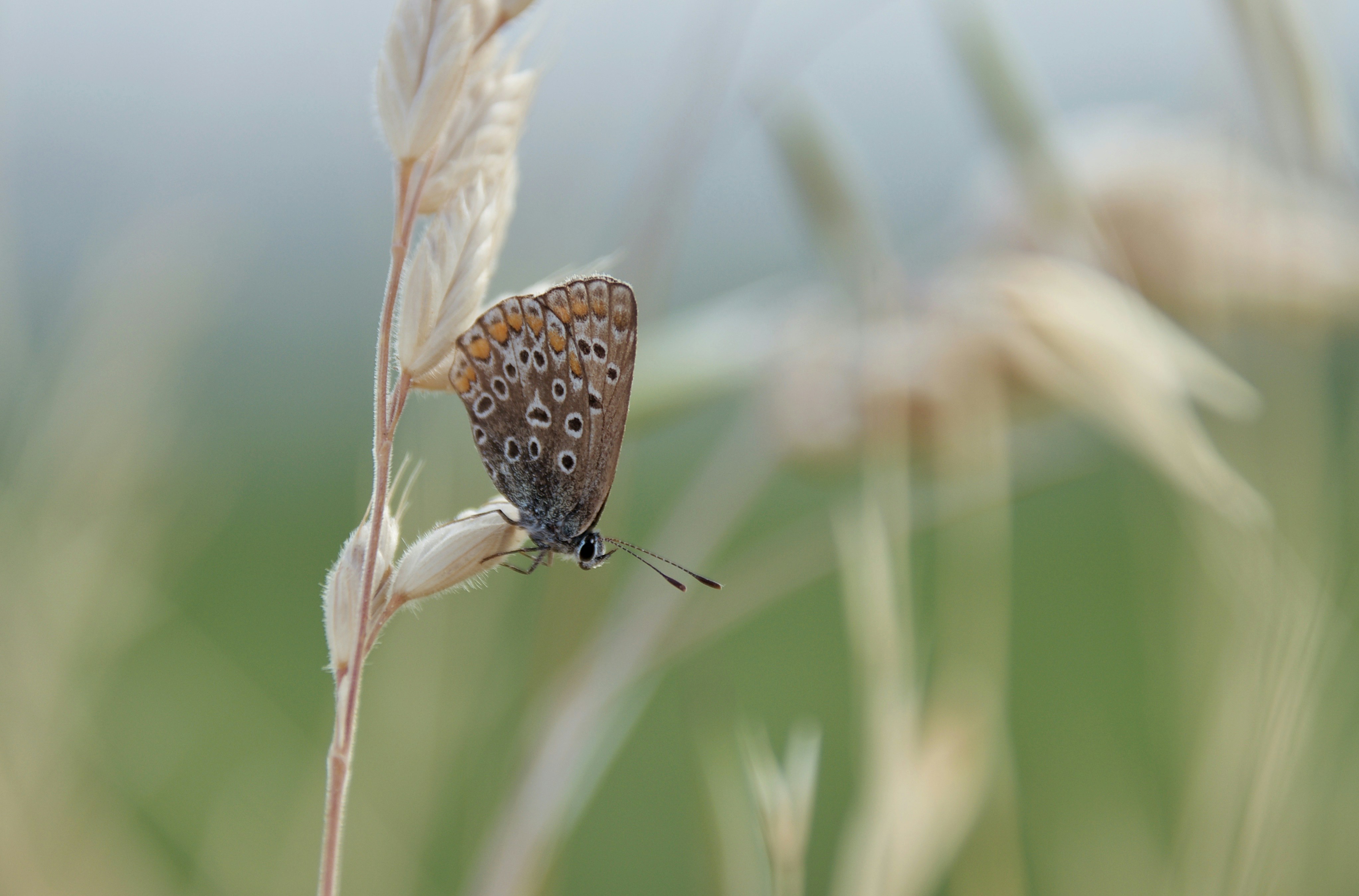 Photo by mariobeducci