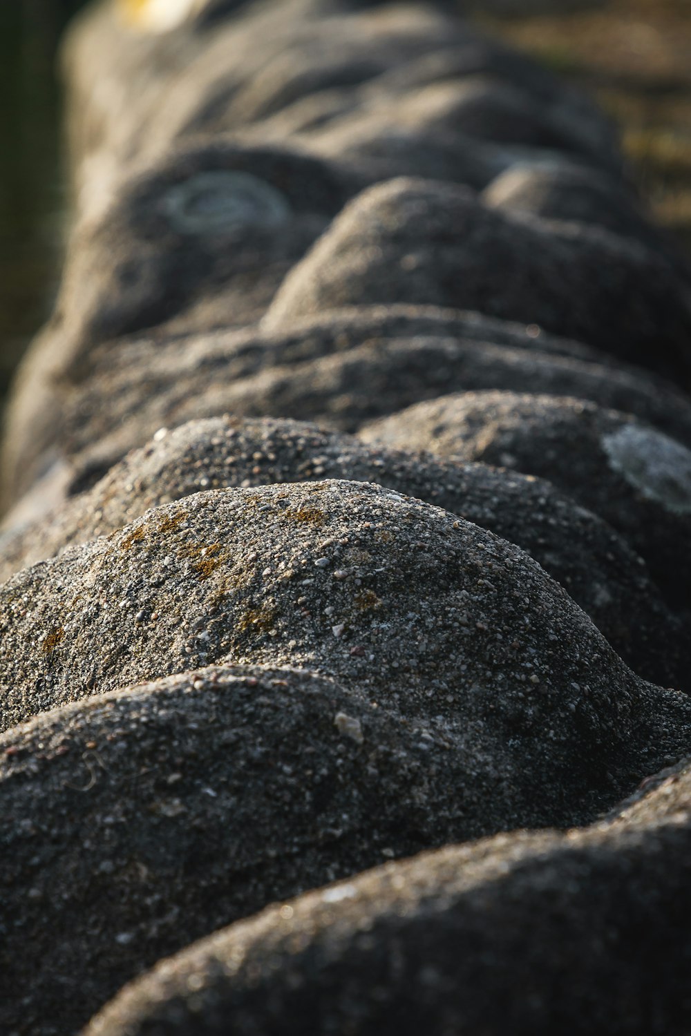 a close up of a rock wall near water
