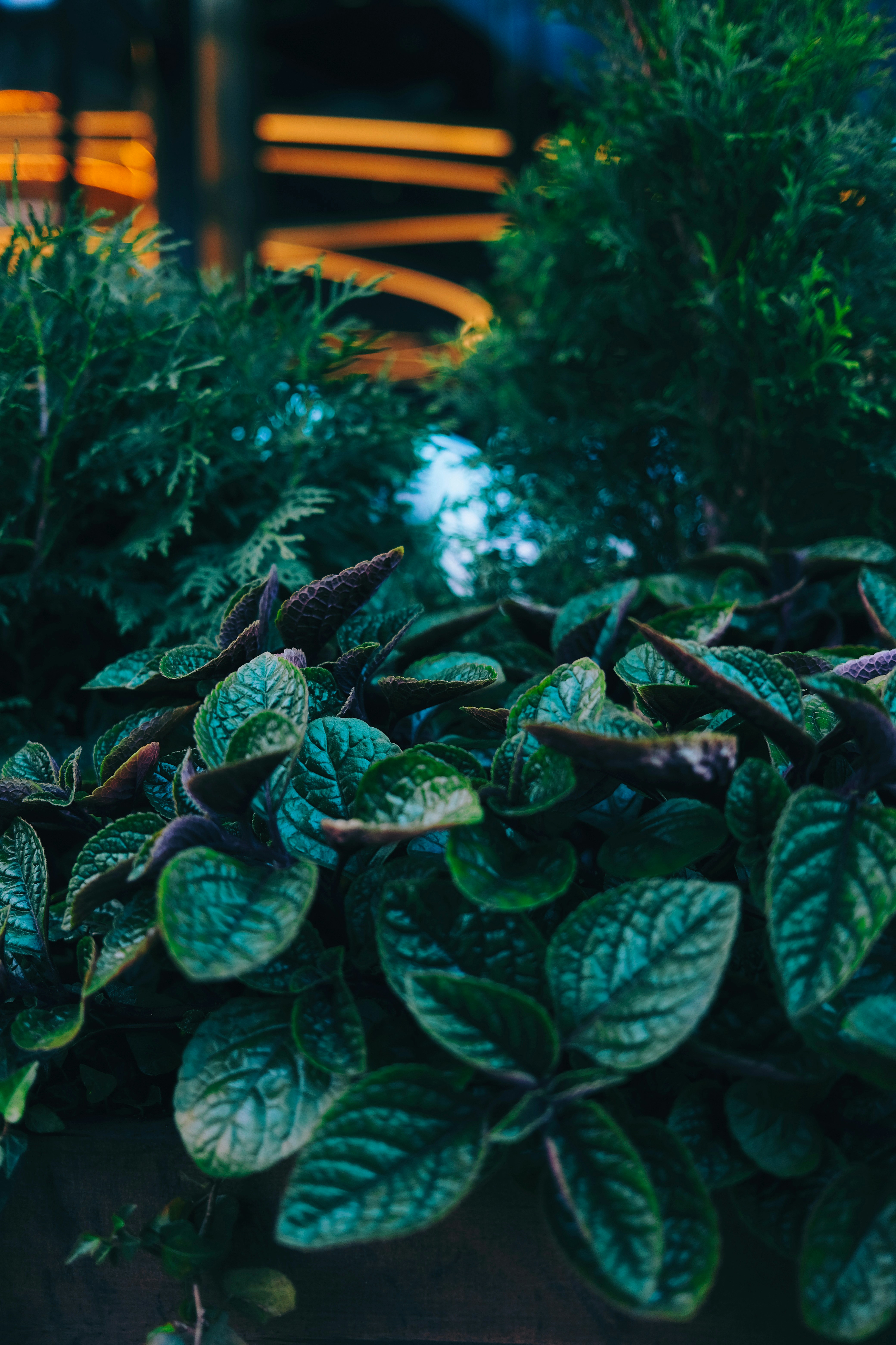 Photo by cherenkevich