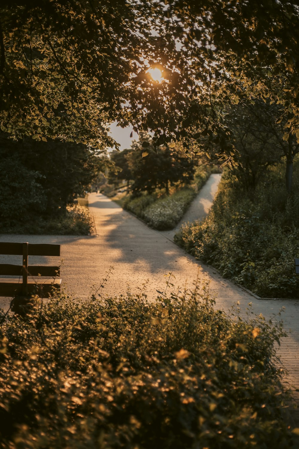 a park bench sitting on the side of a road