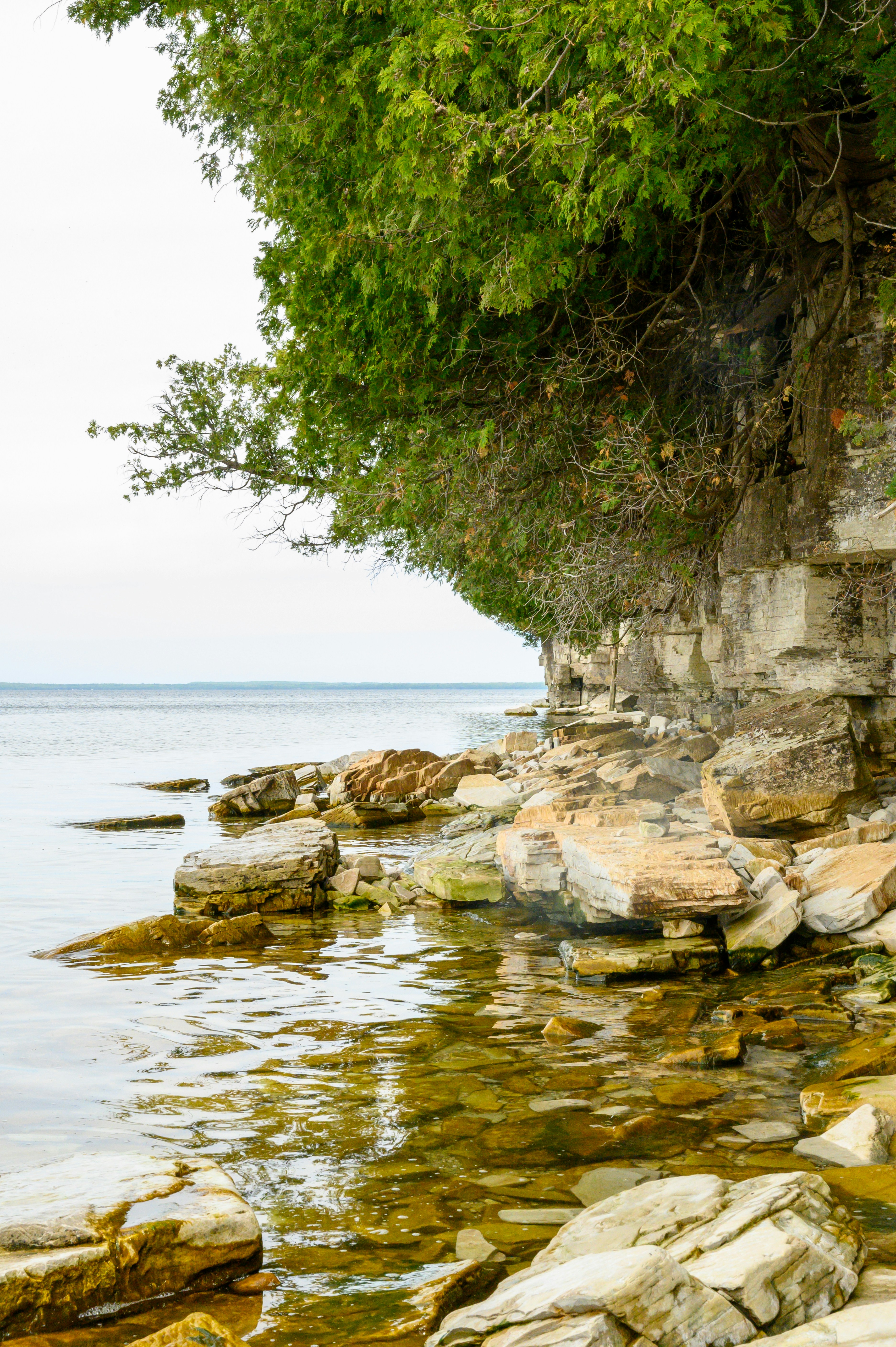 Photo by starsraining