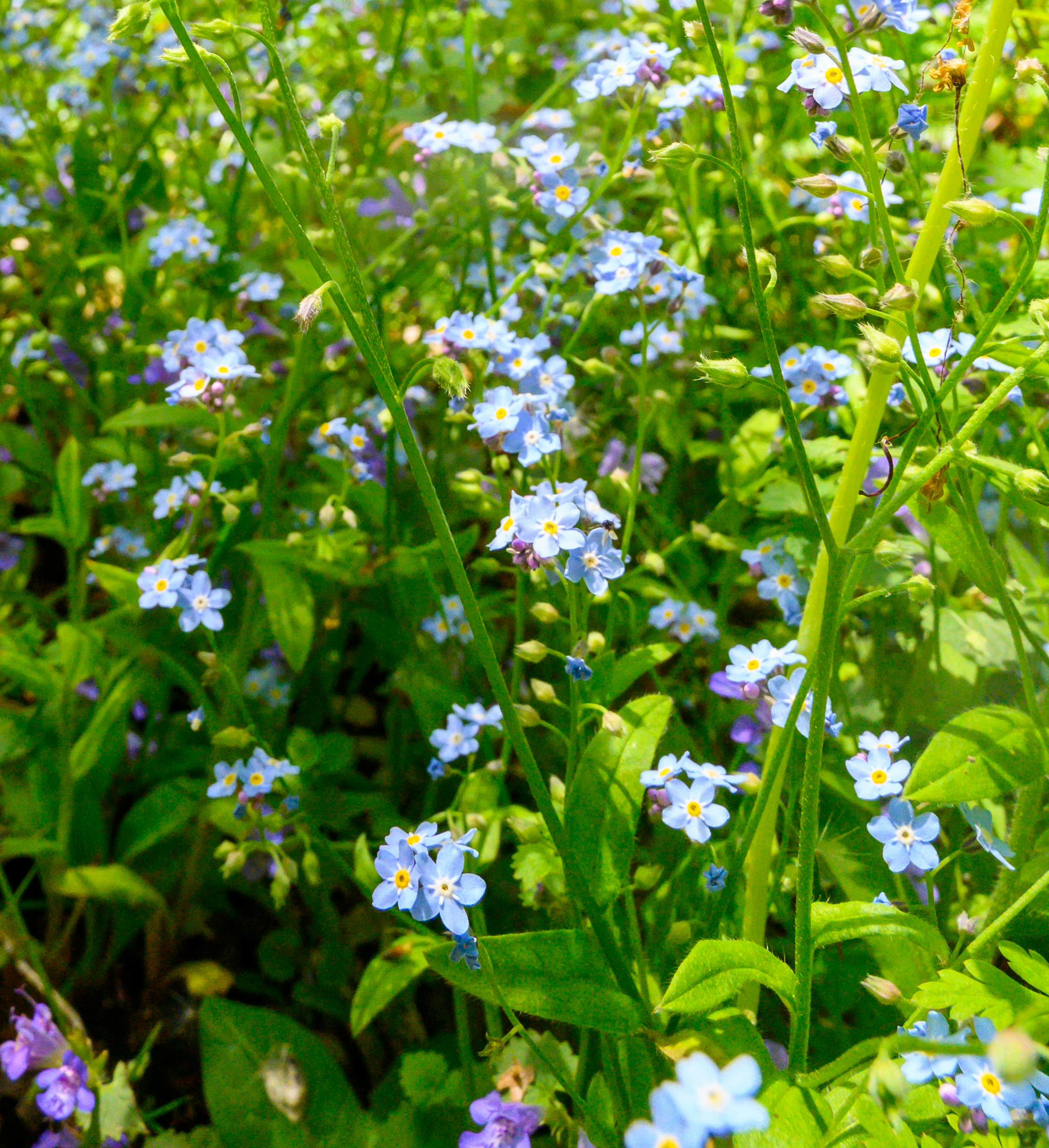 Photo by starsraining