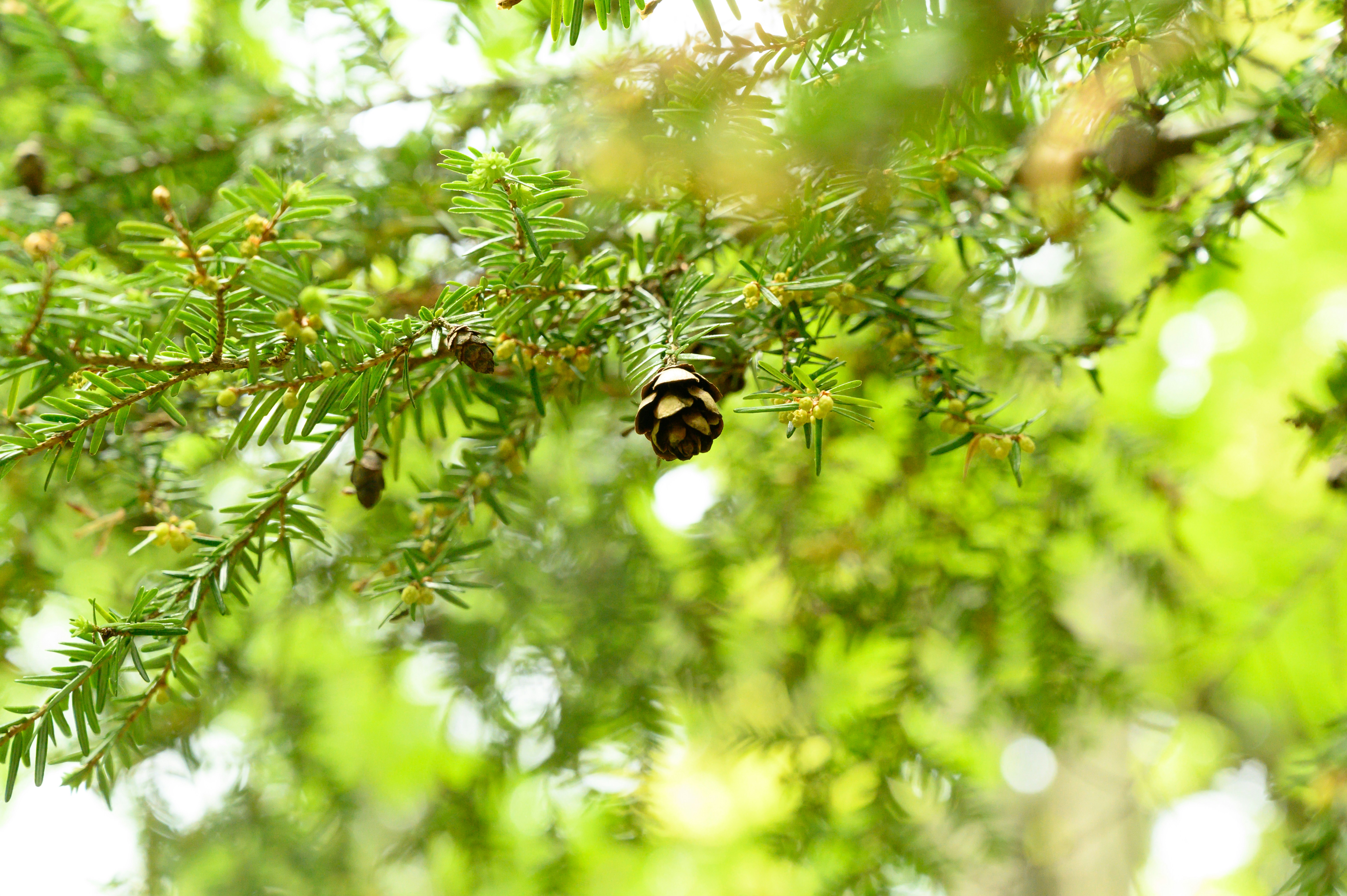 Photo by starsraining