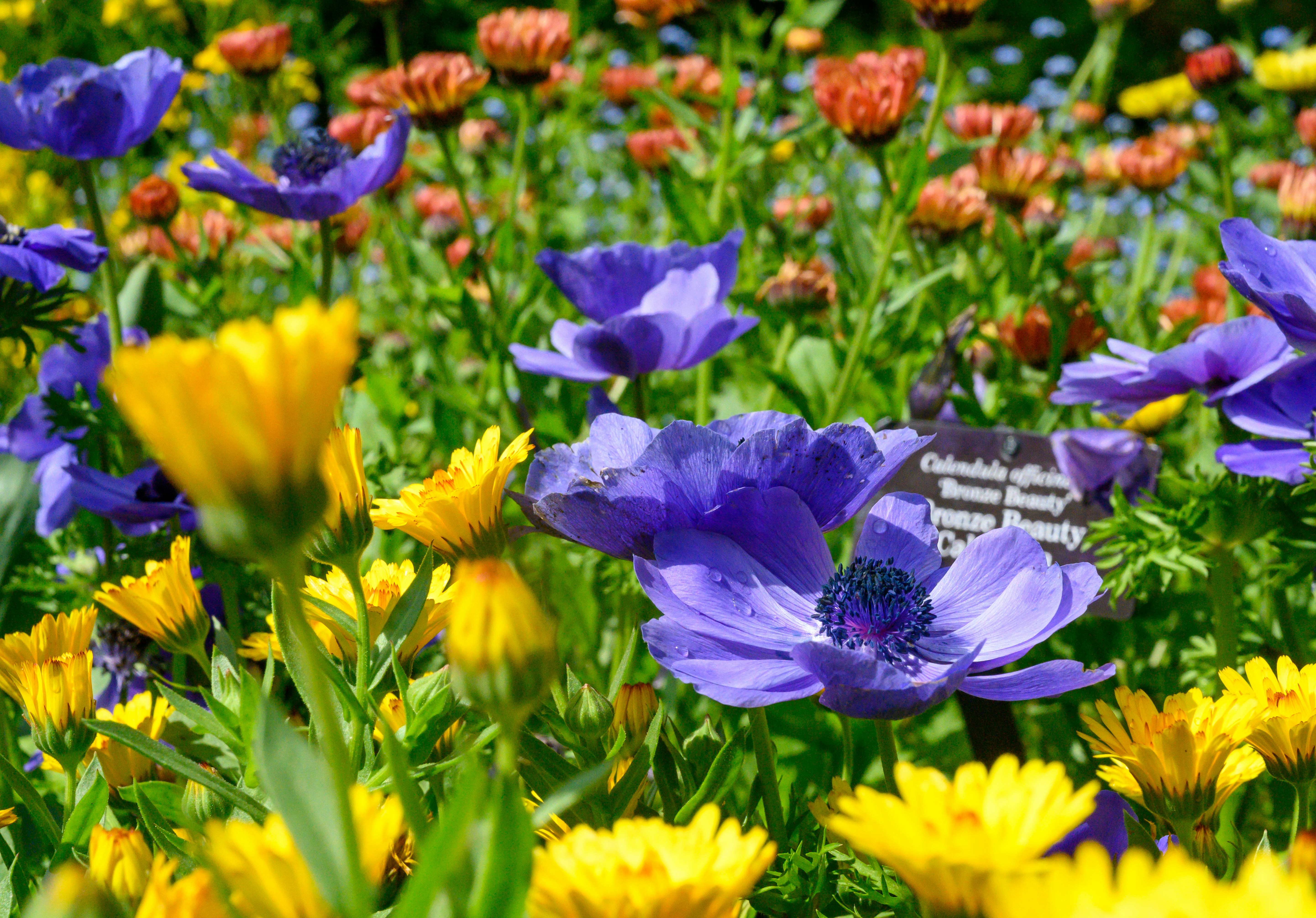 Photo by starsraining