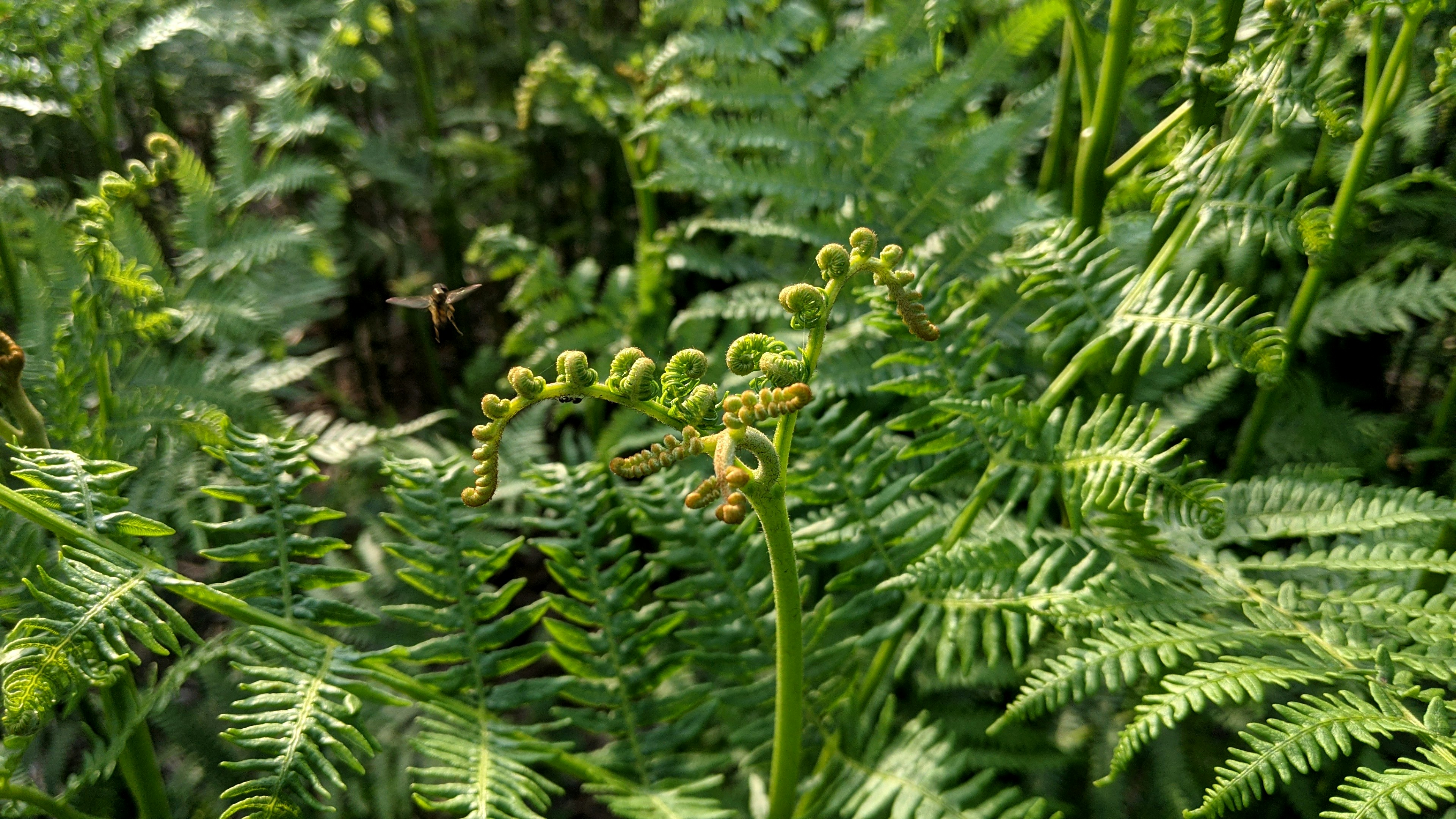 Photo by chateaubriant