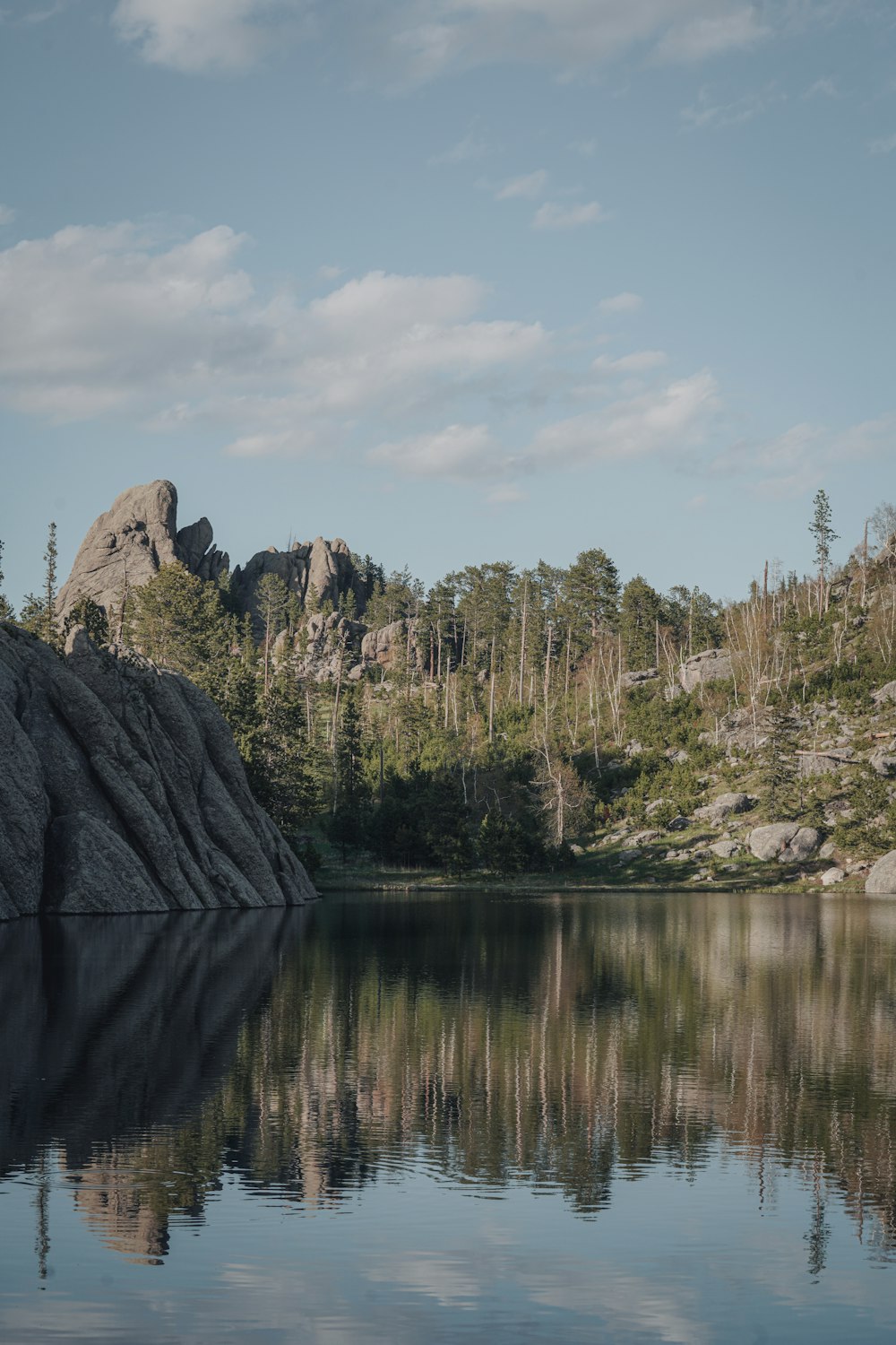 a body of water surrounded by trees and rocks