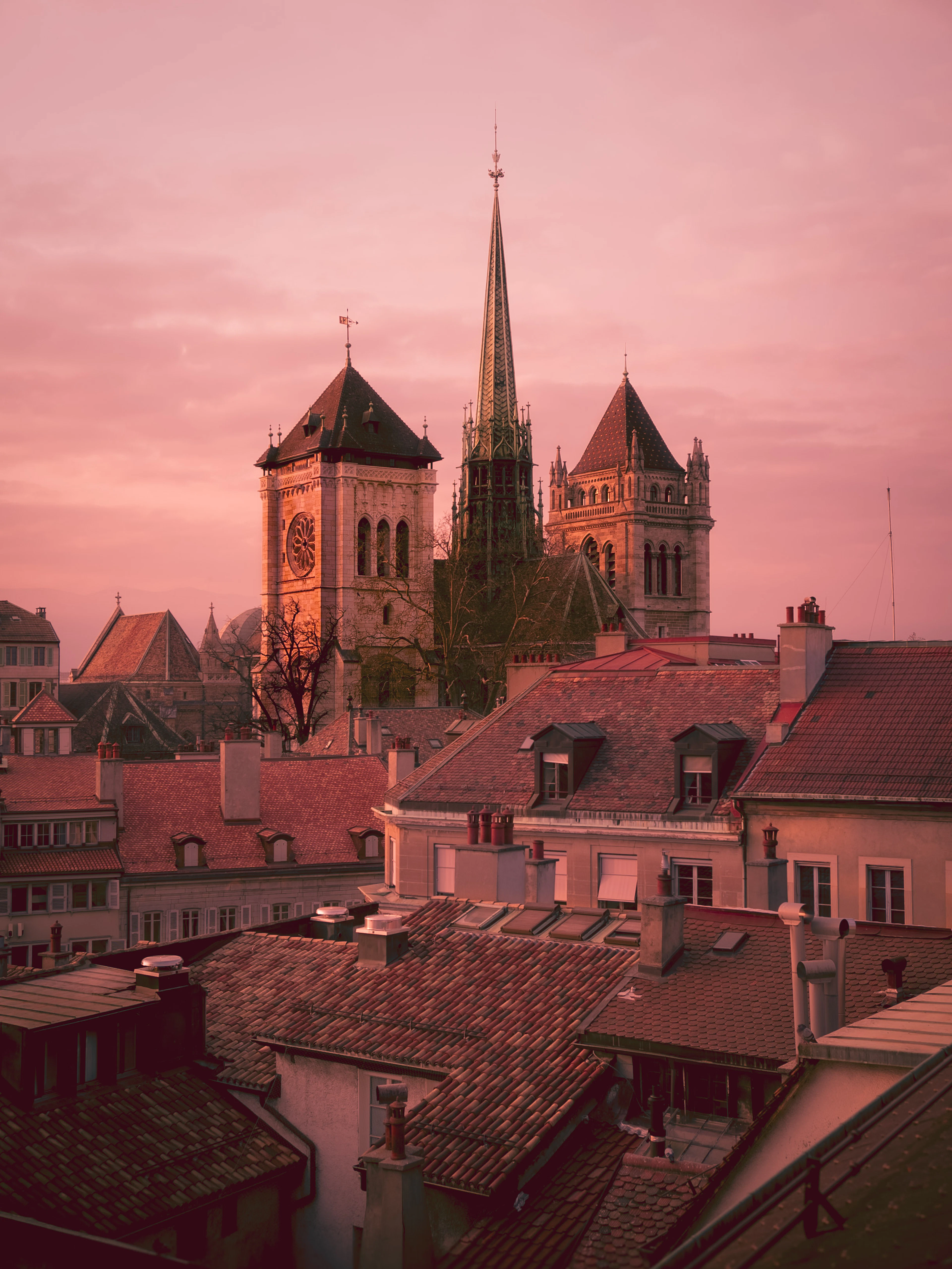 The towers and green spire of St. Pierre Cathedral rising above the tiled rooftops and chimneys of Geneva's Vieille Ville under a rose-pink dusk sky