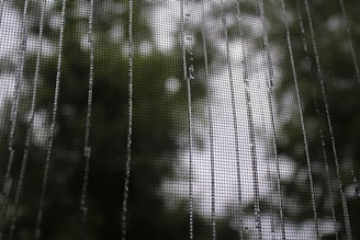 A close-up of a mesh screen with raindrops creating patterns on its surface, with blurred greenery in the background.