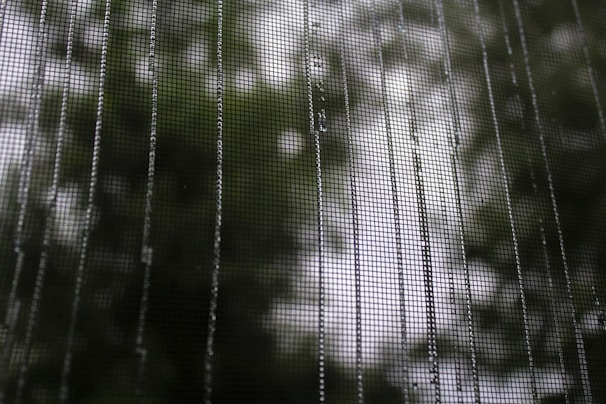 A close-up of a mesh screen with raindrops creating patterns on its surface, with blurred greenery in the background.