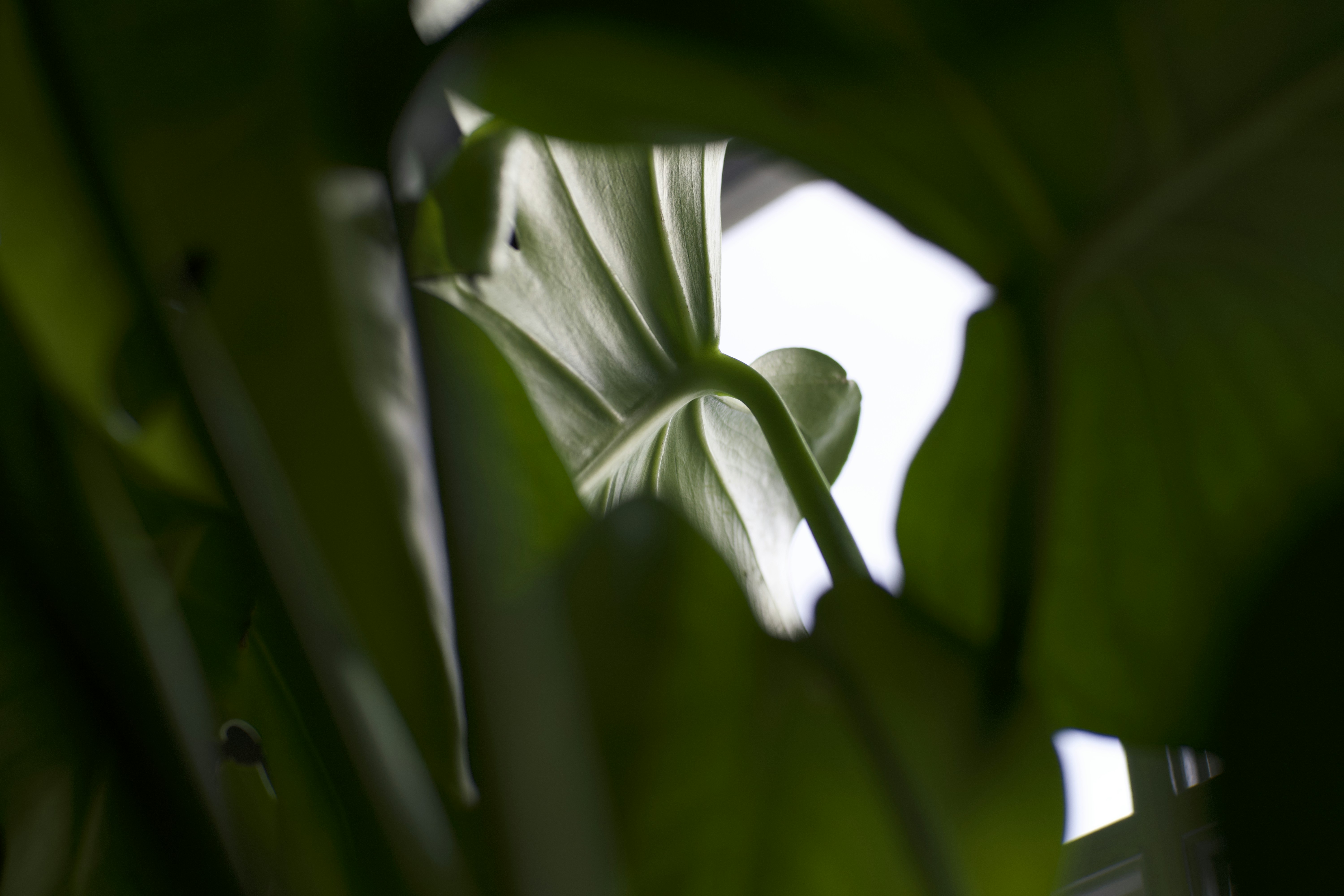 Photo by arsmoriendi