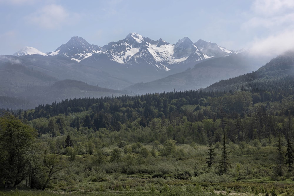 a view of a mountain range with trees in the foreground