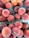 Numerous ripe peaches are arranged in small green containers, showcasing their fuzzy skin and warm hues of red and orange. The texture of the fruit is visible, highlighting their freshness and appeal.