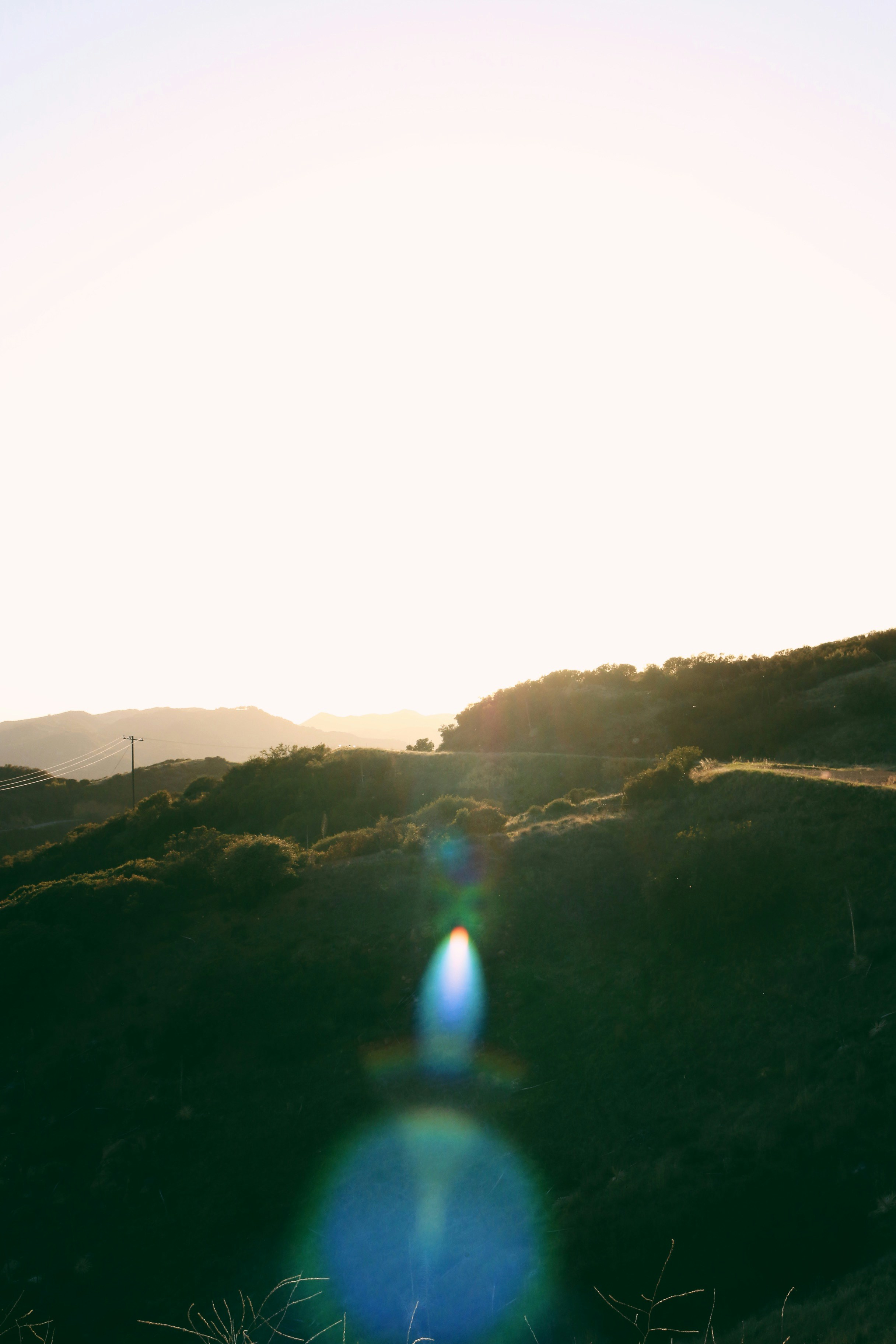 Photo by sammgrdichian