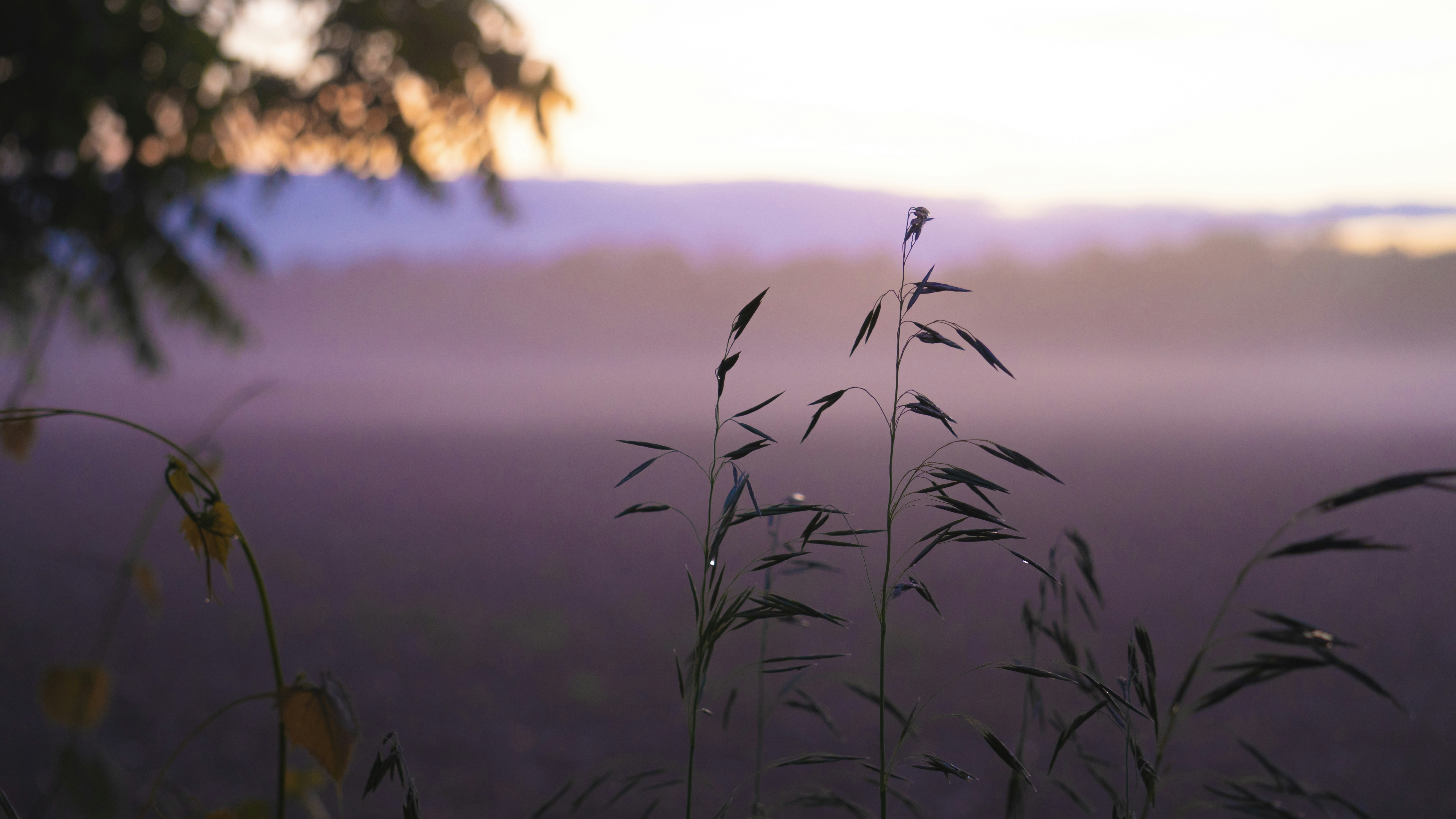 Photo by krystenwhalen