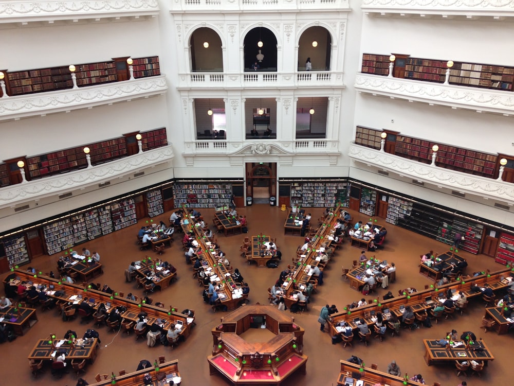 Une grande bibliothèque remplie de nombreux livres
