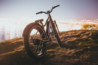 Vélo électrique