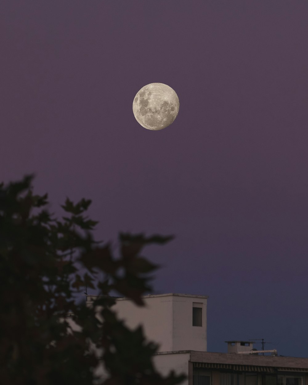 a full moon is seen in the sky above a building