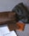 The image features two leather pouches, one dark brown and one black, positioned on a fabric surface. In front of them are two leather wallets, one brown and the other tan, along with a branded white cloth bag labeled 'blackduck'. The items appear to be high-quality leather goods.