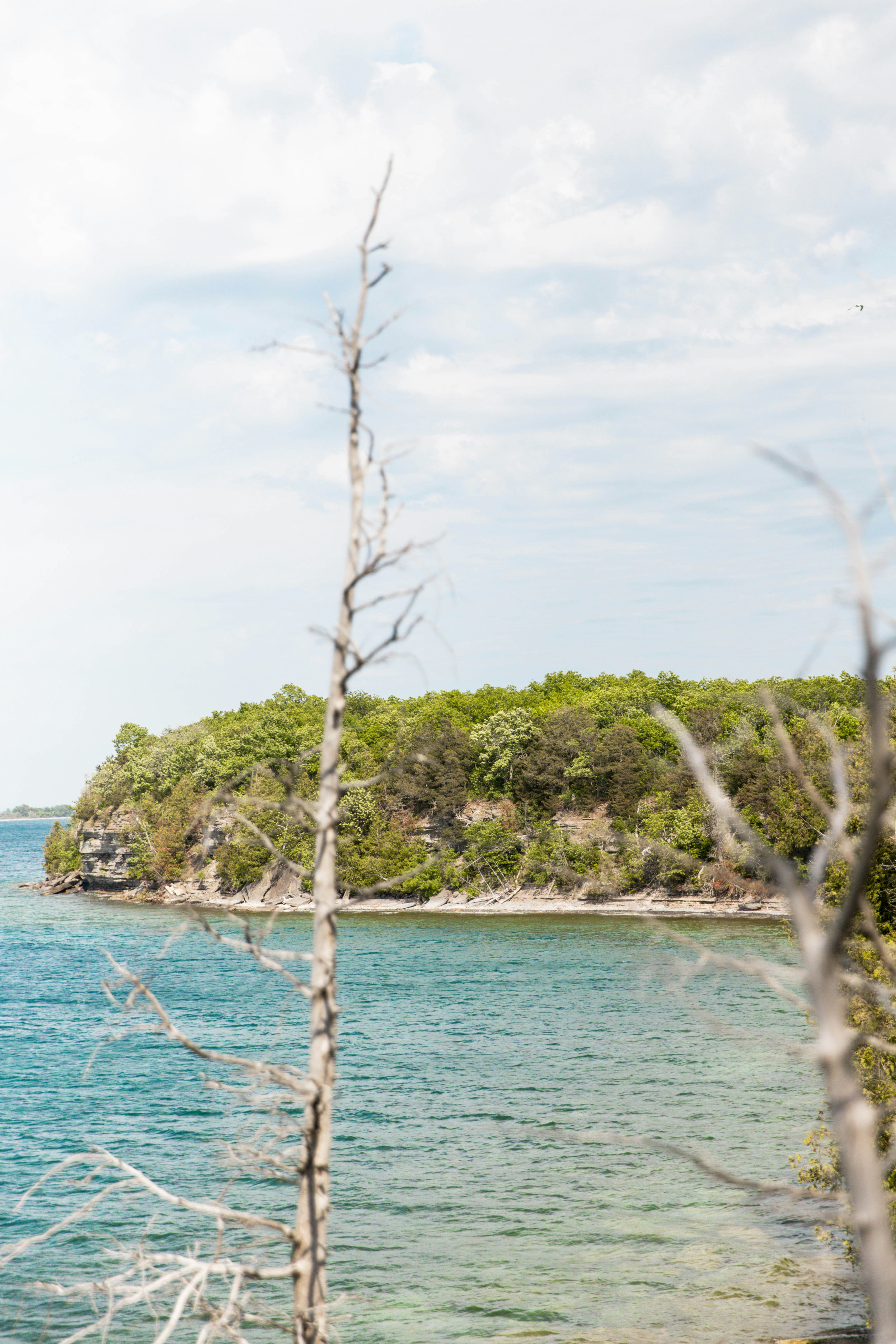 Photo by bradydrogers