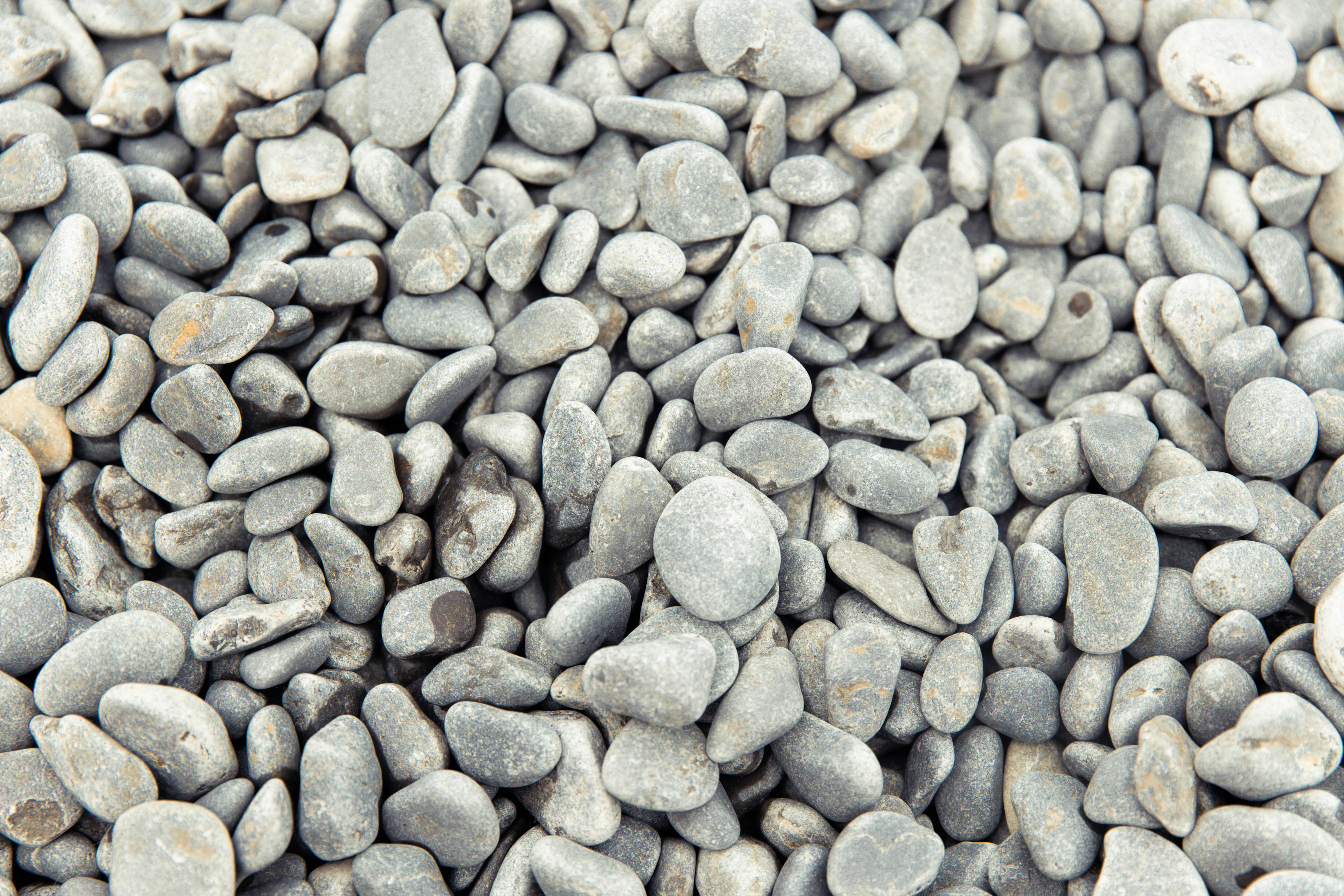 Photo by bradydrogers