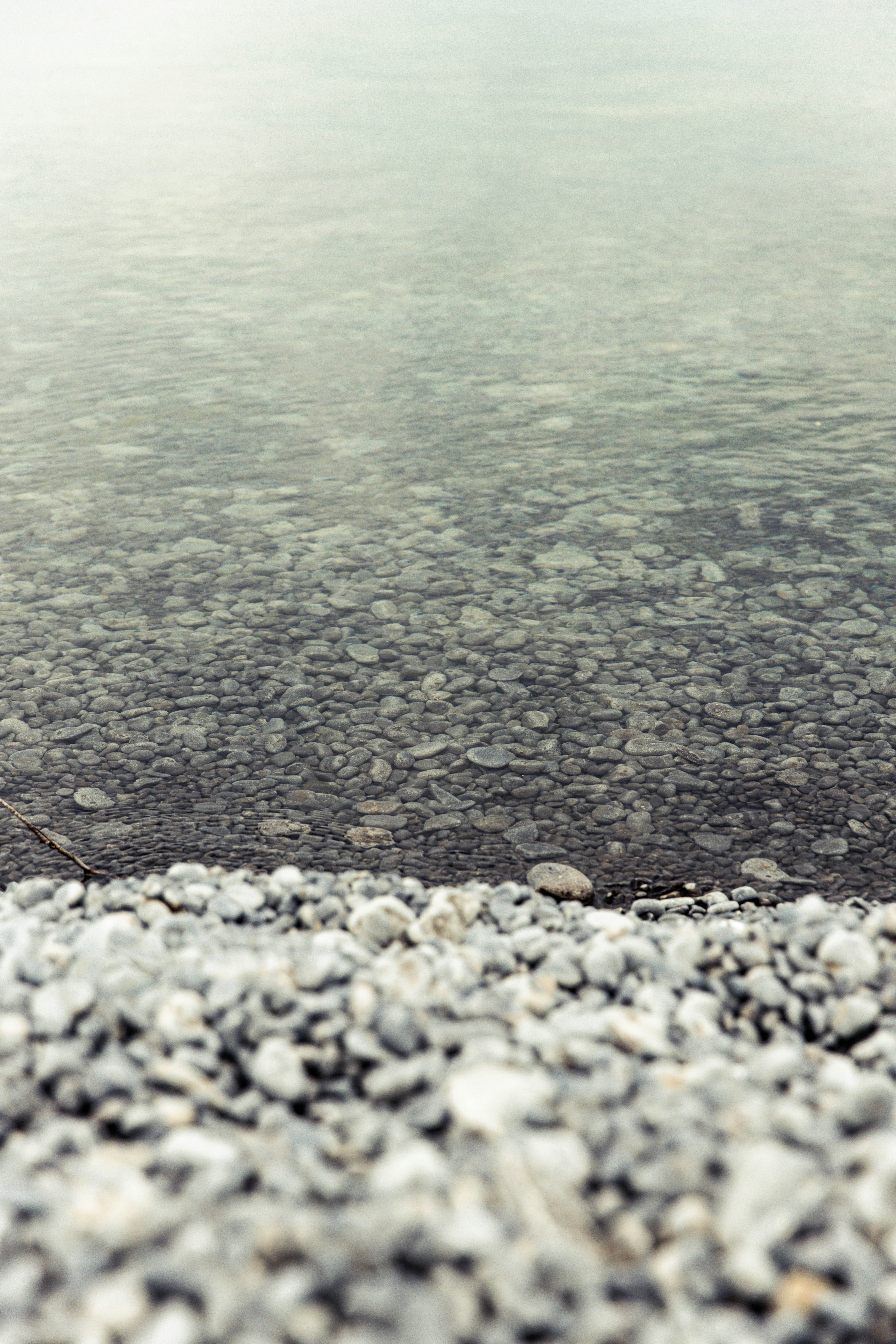 Photo by bradydrogers