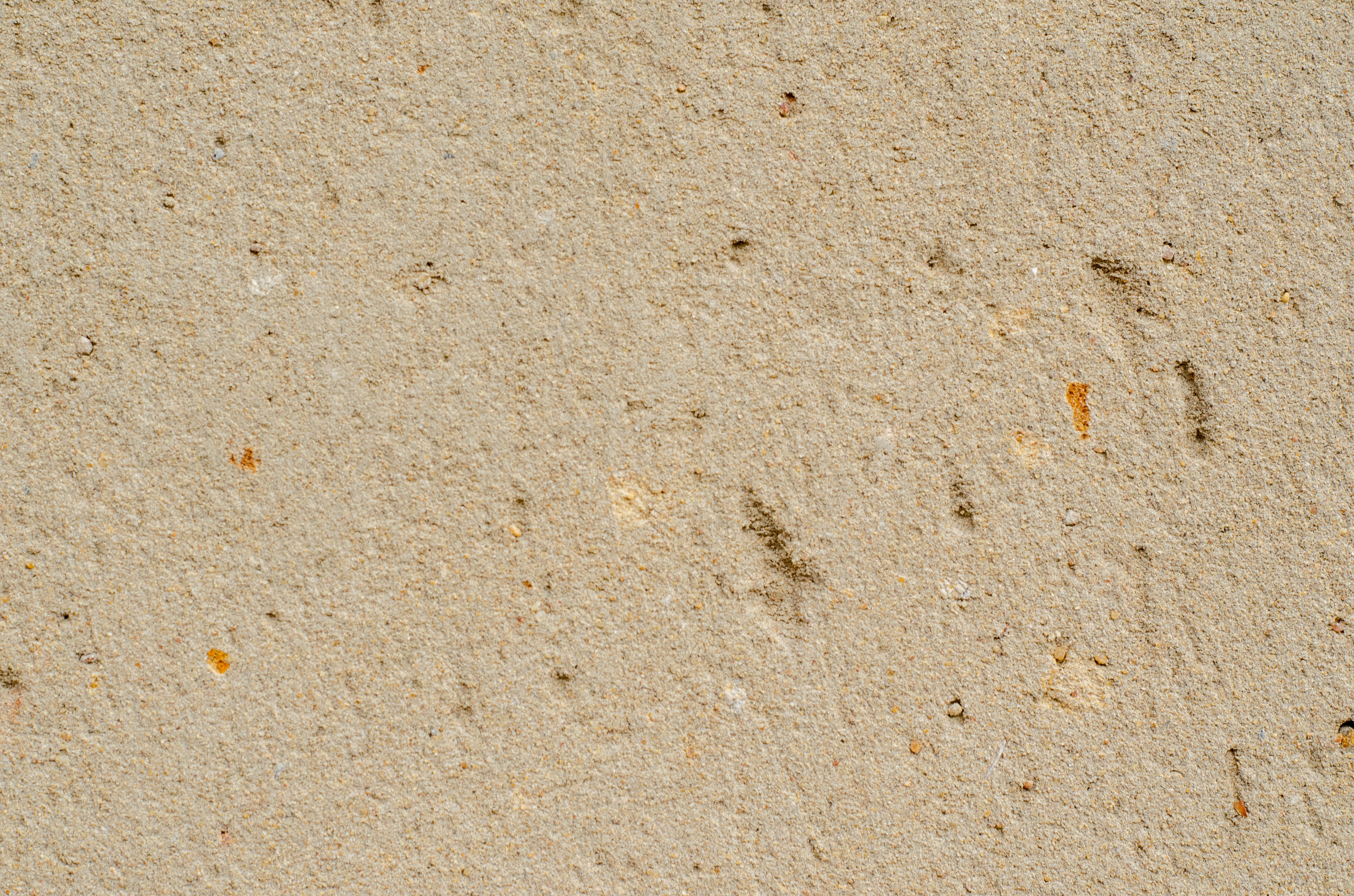 Photo by stewardesign