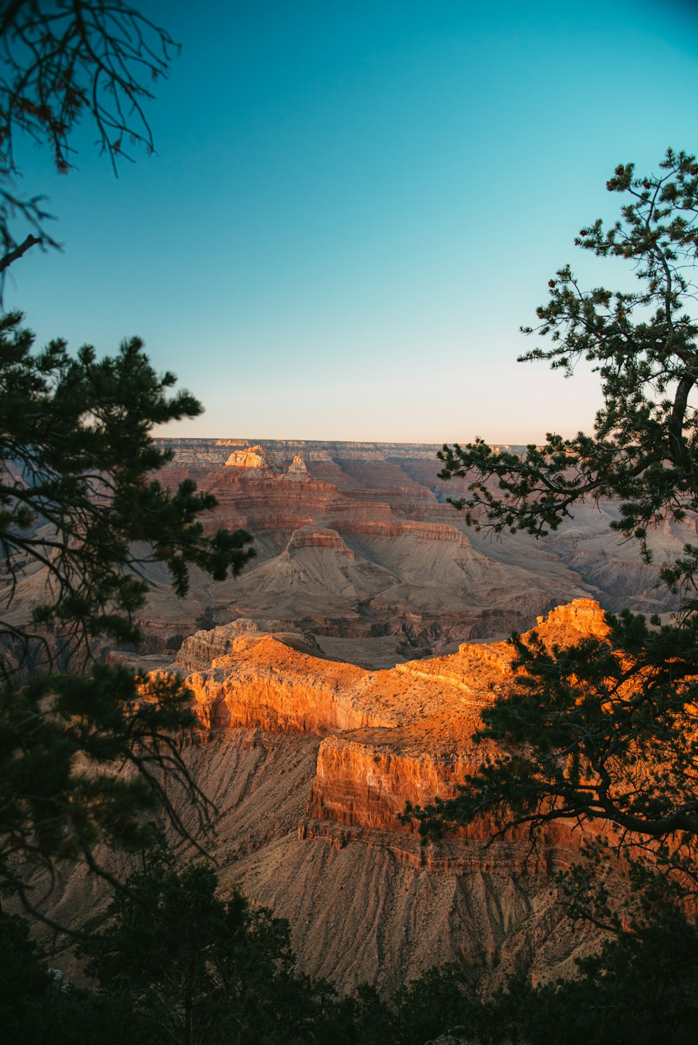 a view of the grand canyon from a distance