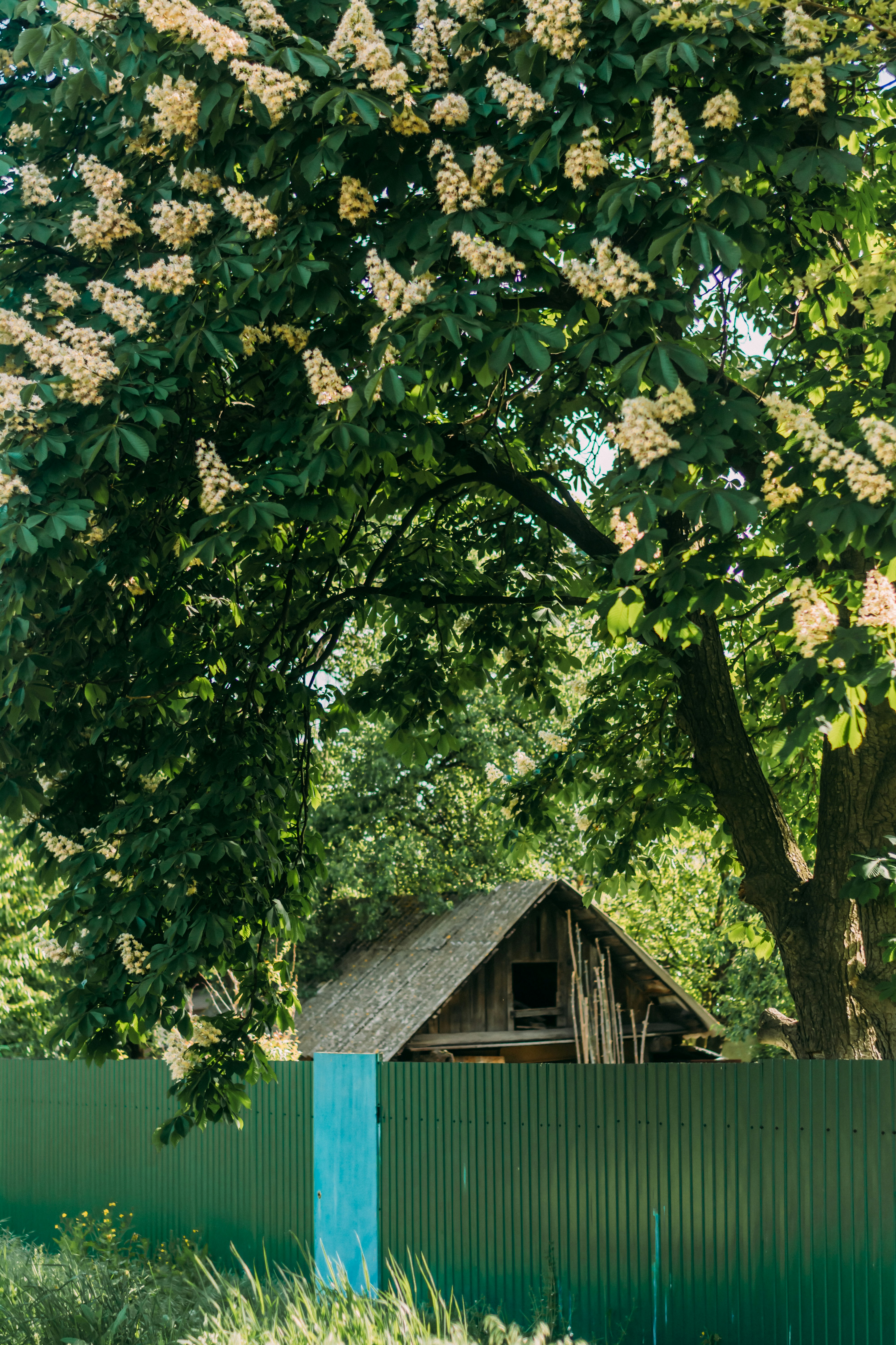 Photo by eugenivy_now