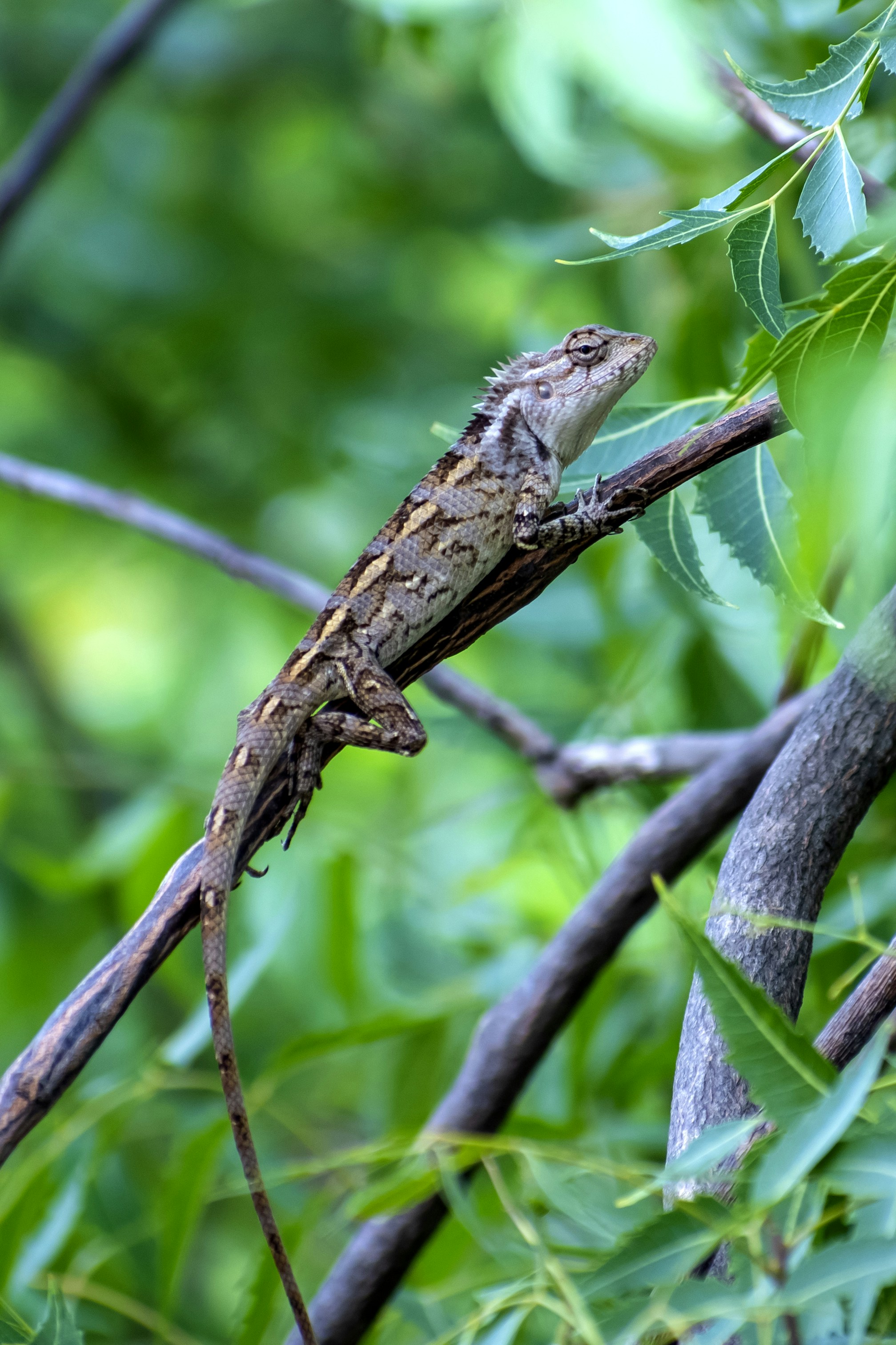 Photo by nataraj1202