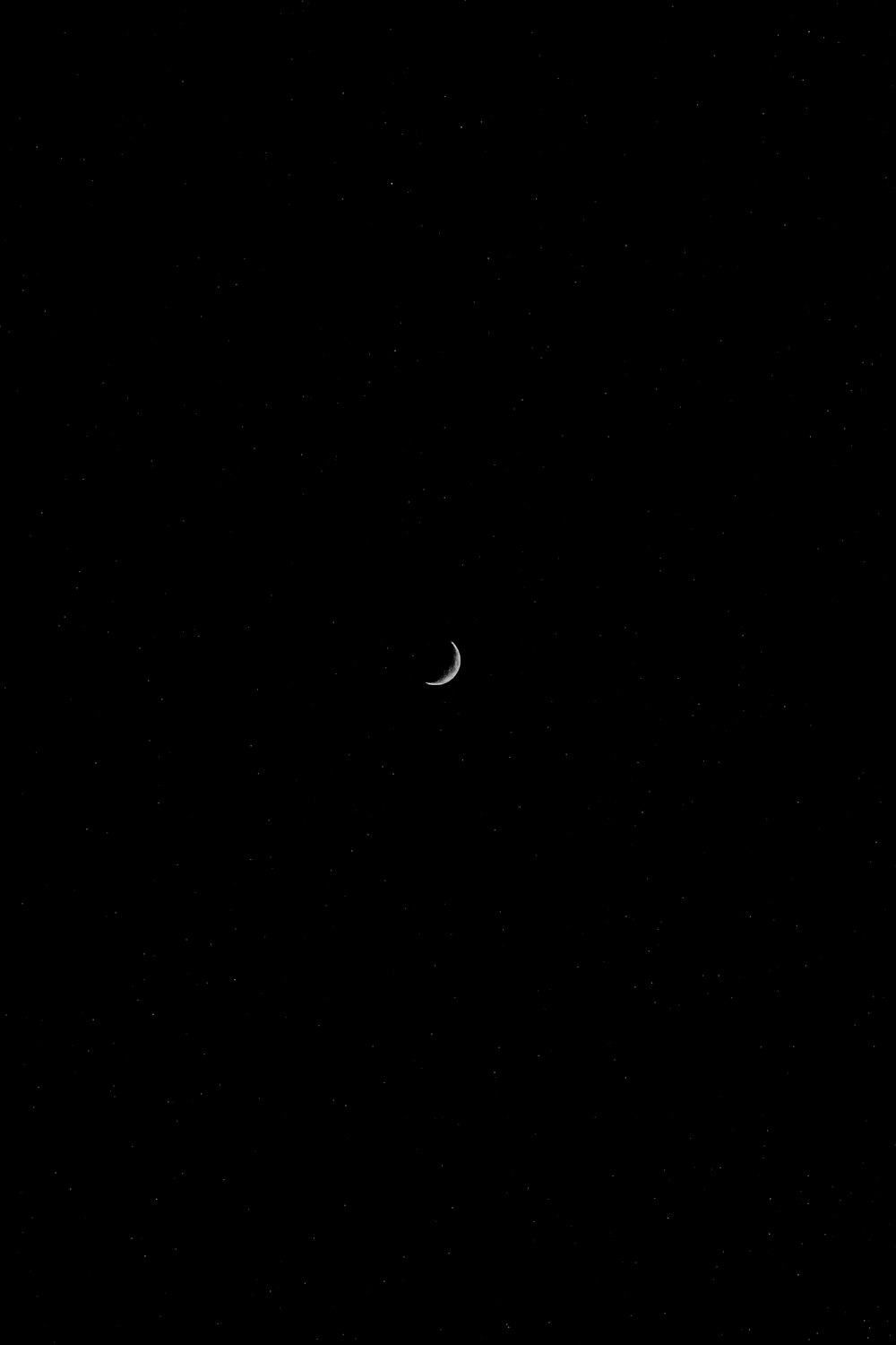 空の月の白黒写真