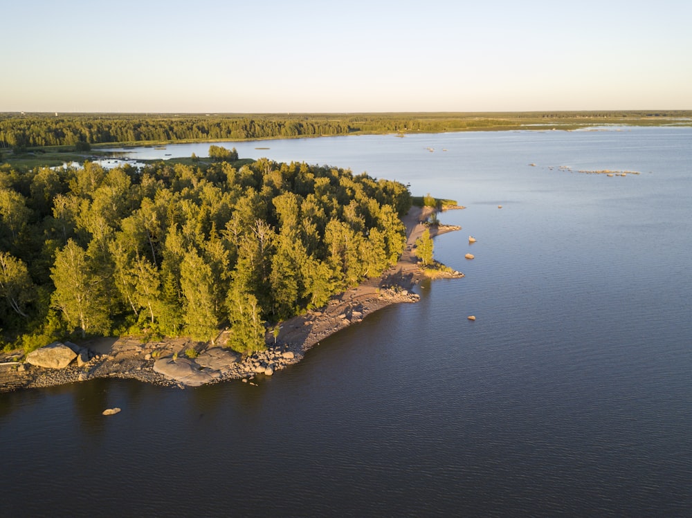 un grande specchio d'acqua circondato da alberi