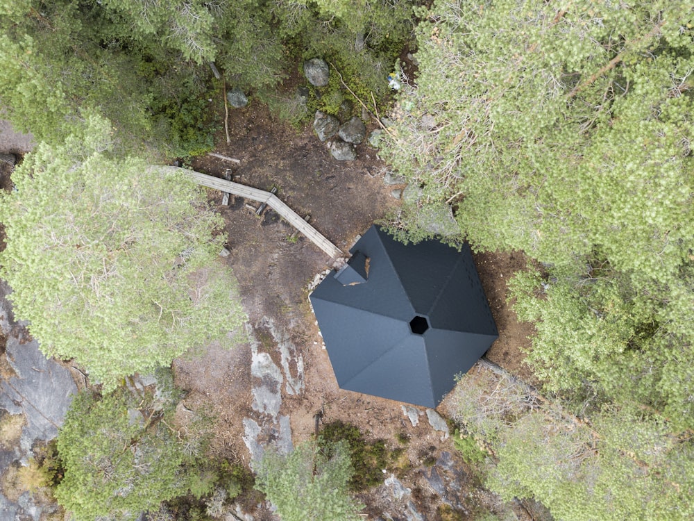 a black umbrella sitting in the middle of a forest